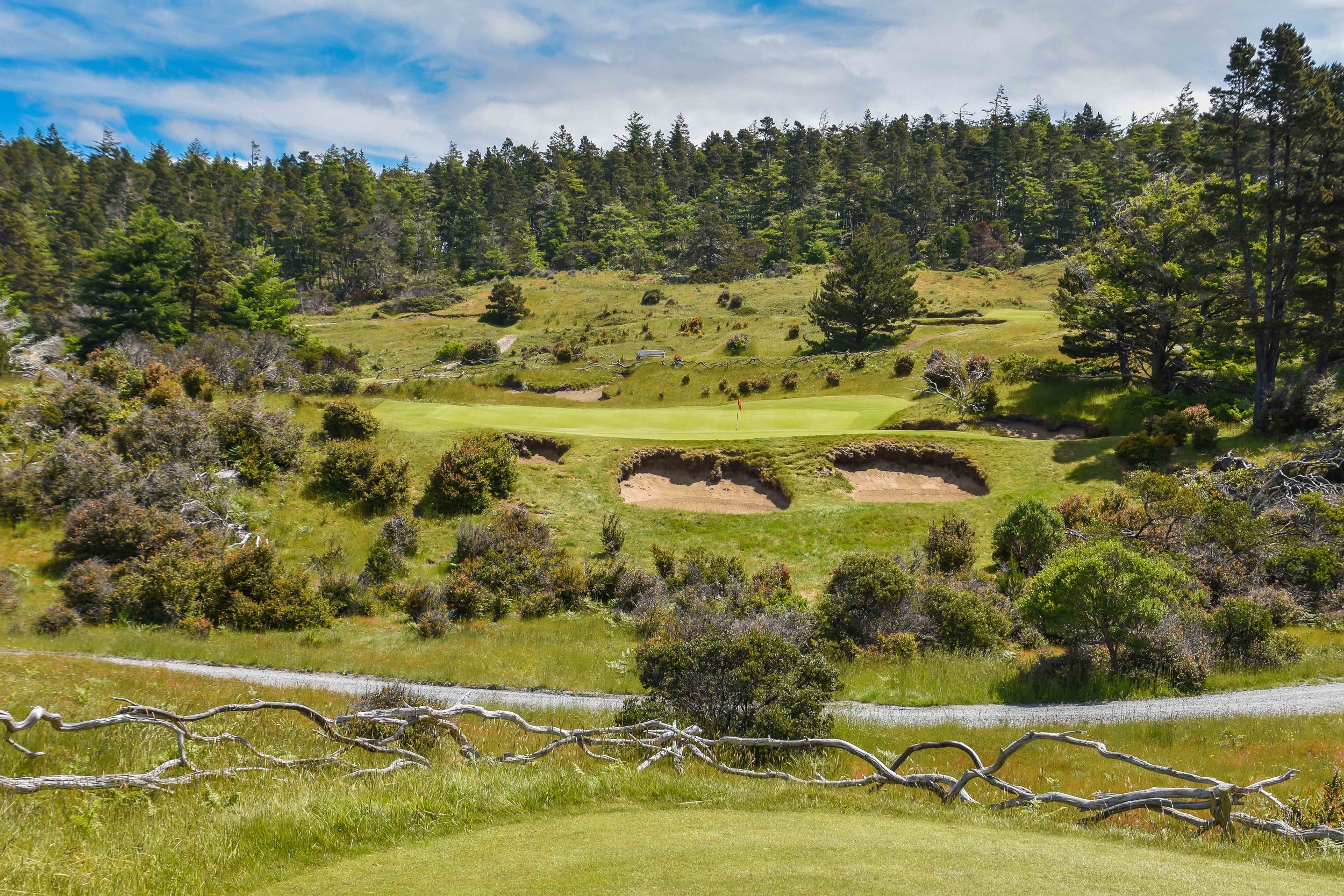 The popular 5th hole at Bandon Trails.
