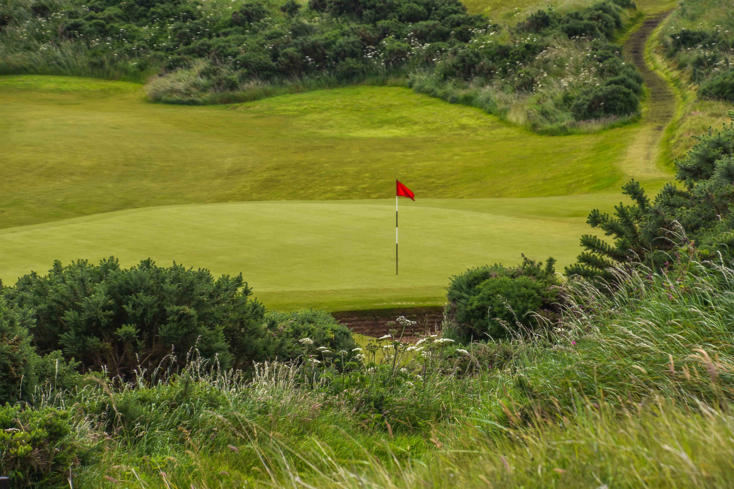Kingsbarns1-74.jpg