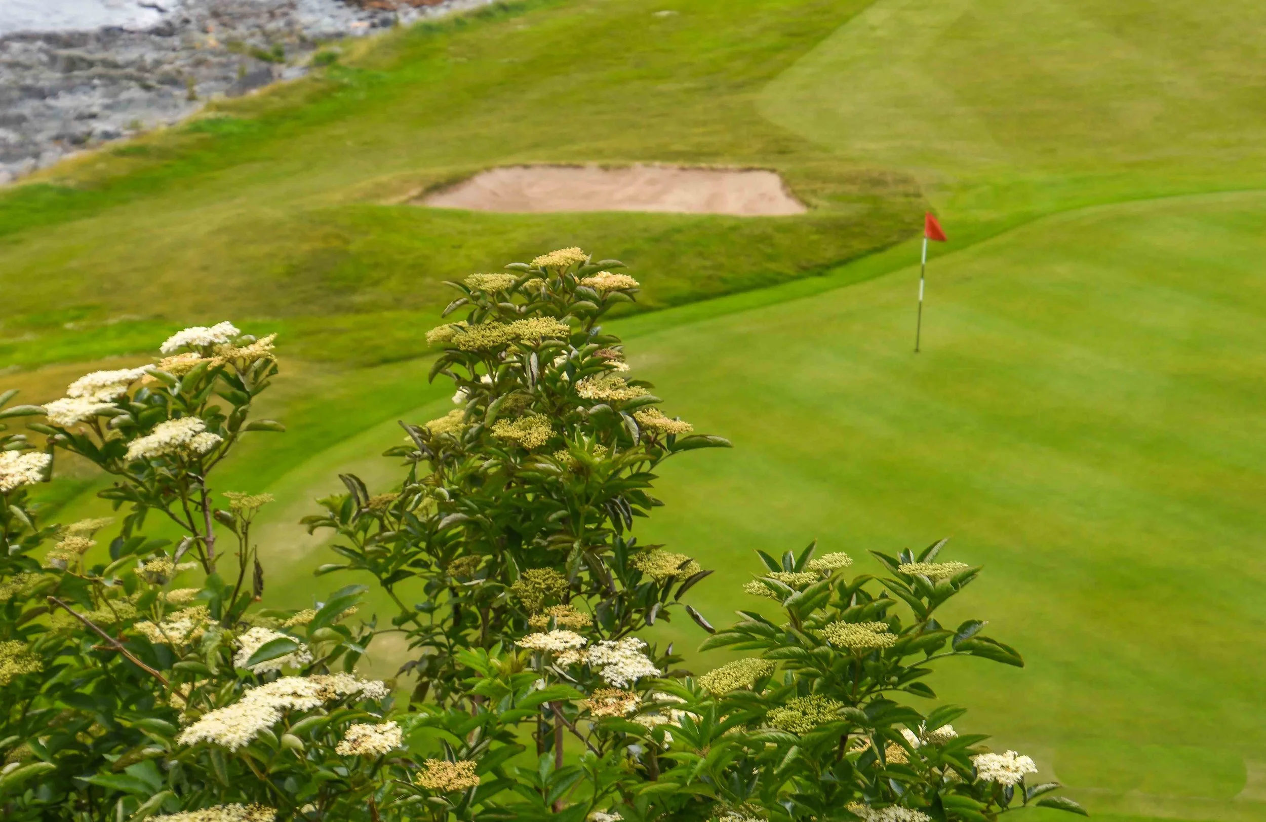 Ardglass1-43.jpg