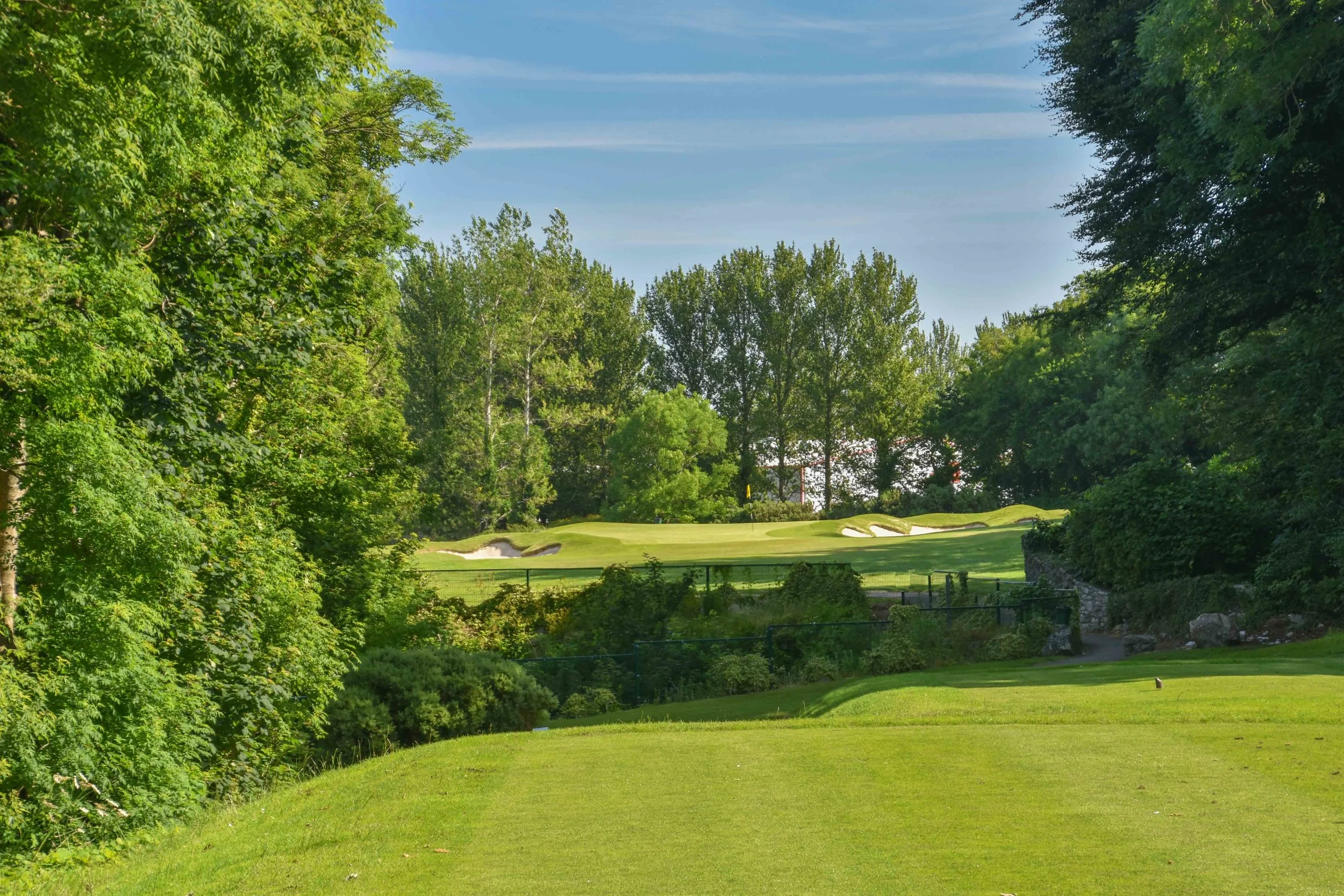 Cork Golf Club1-53.jpg