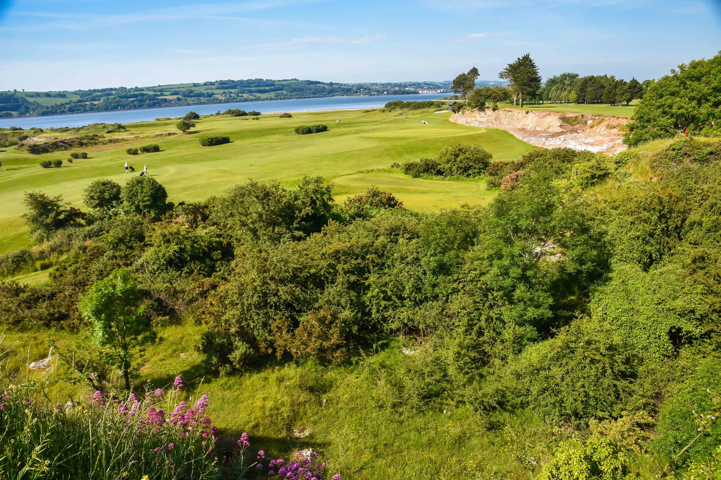 Cork Golf Club1-49.jpg