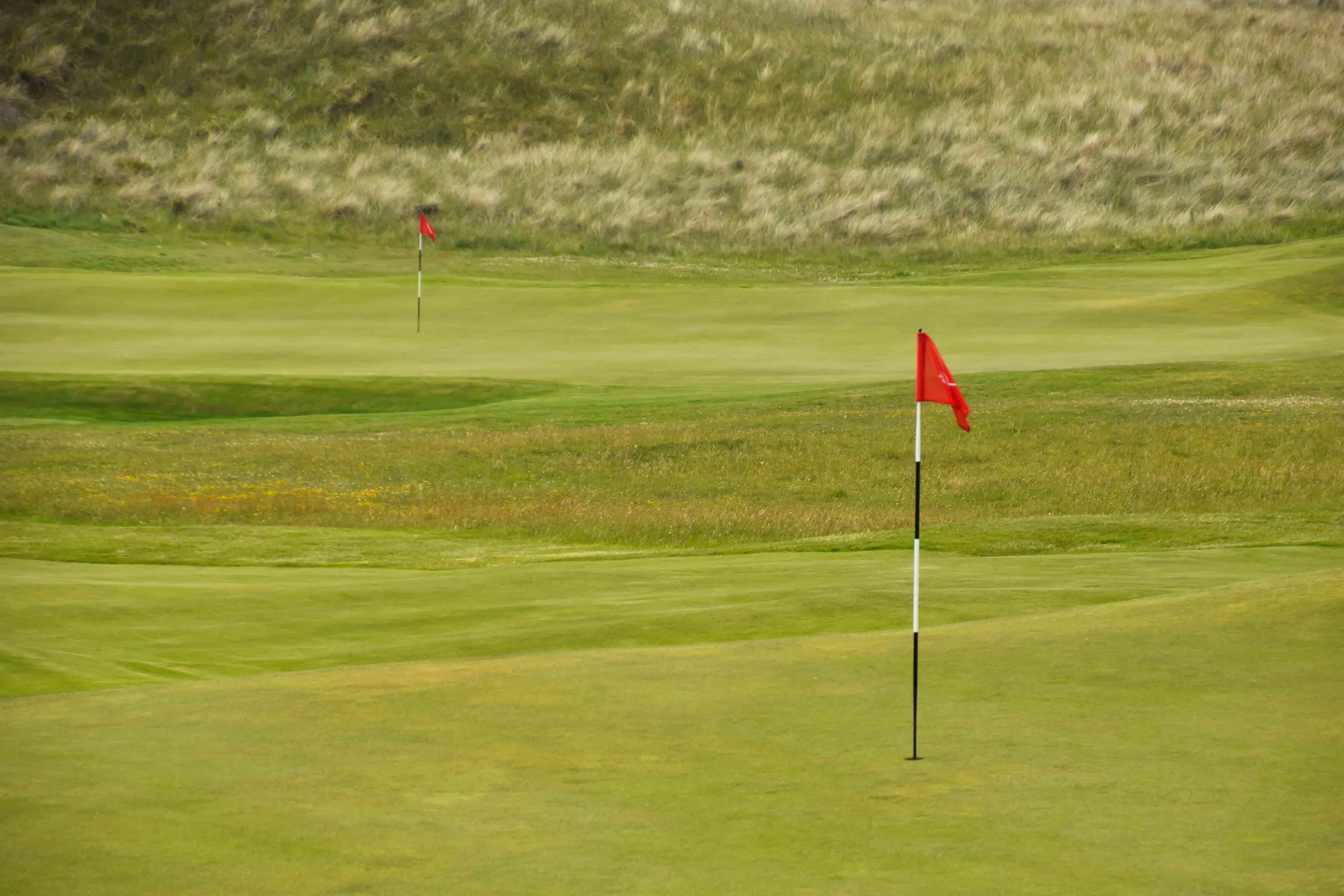 Gullane No. 11-42.jpg