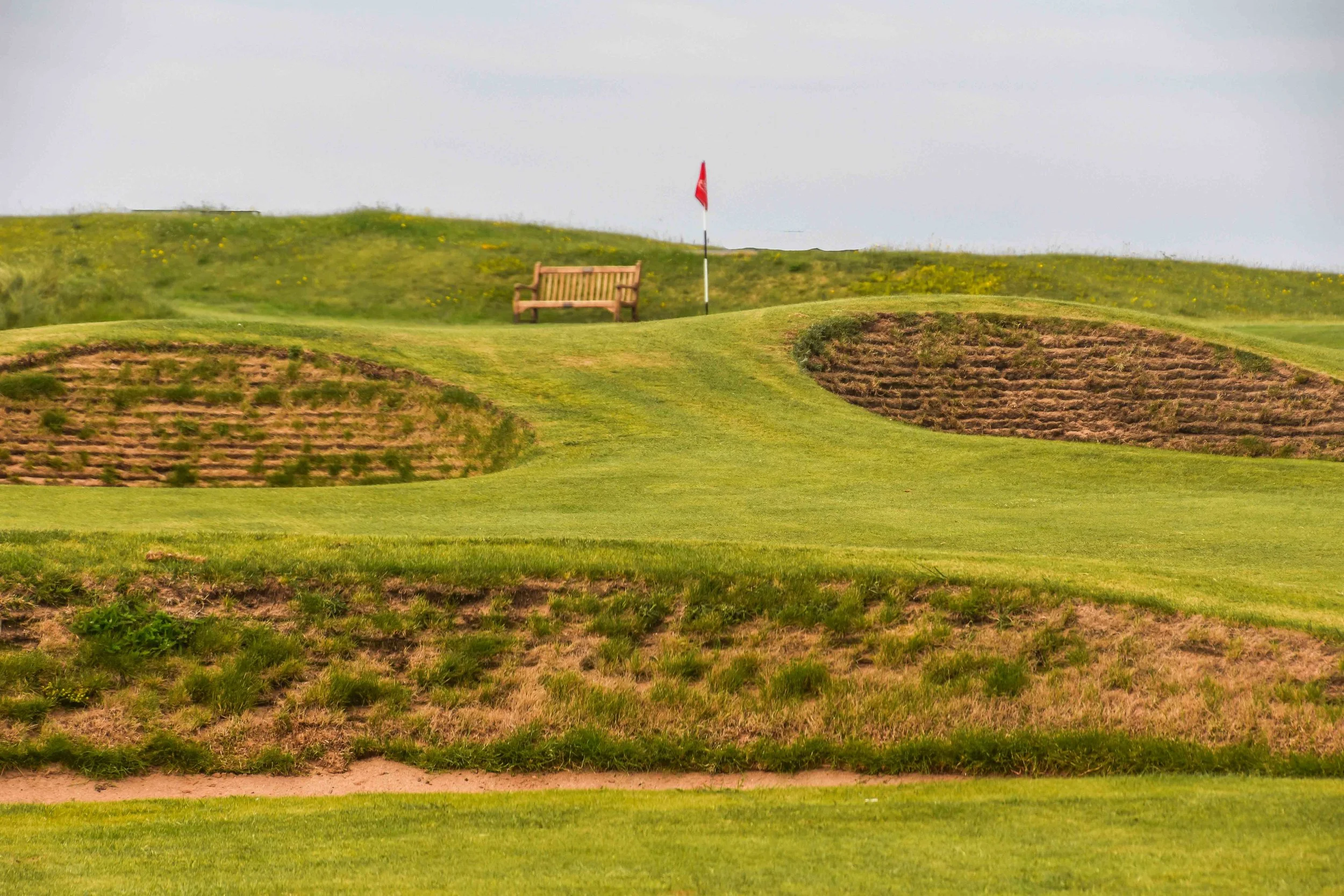 Gullane No. 11-11.jpg