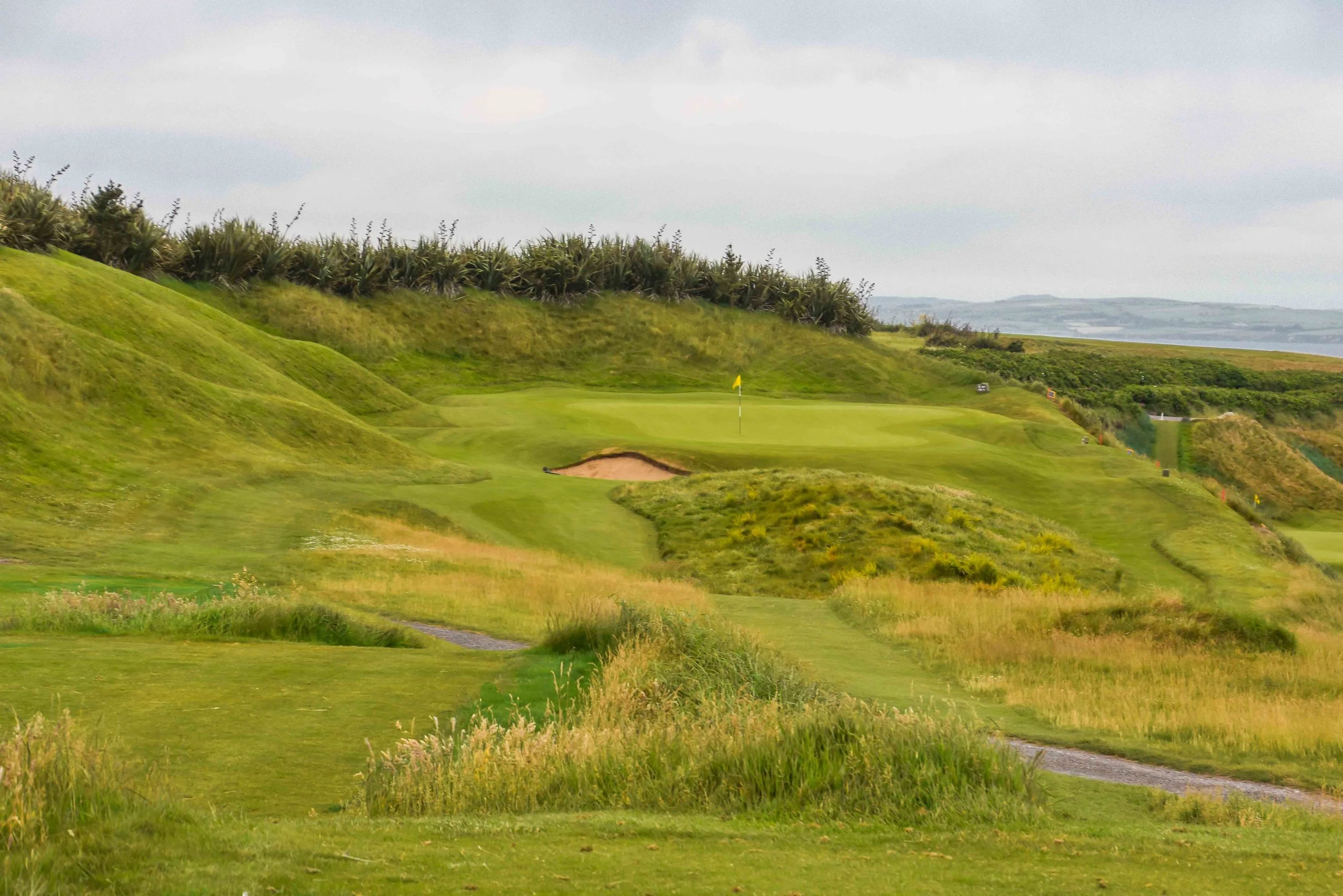 Old Head1-60.jpg