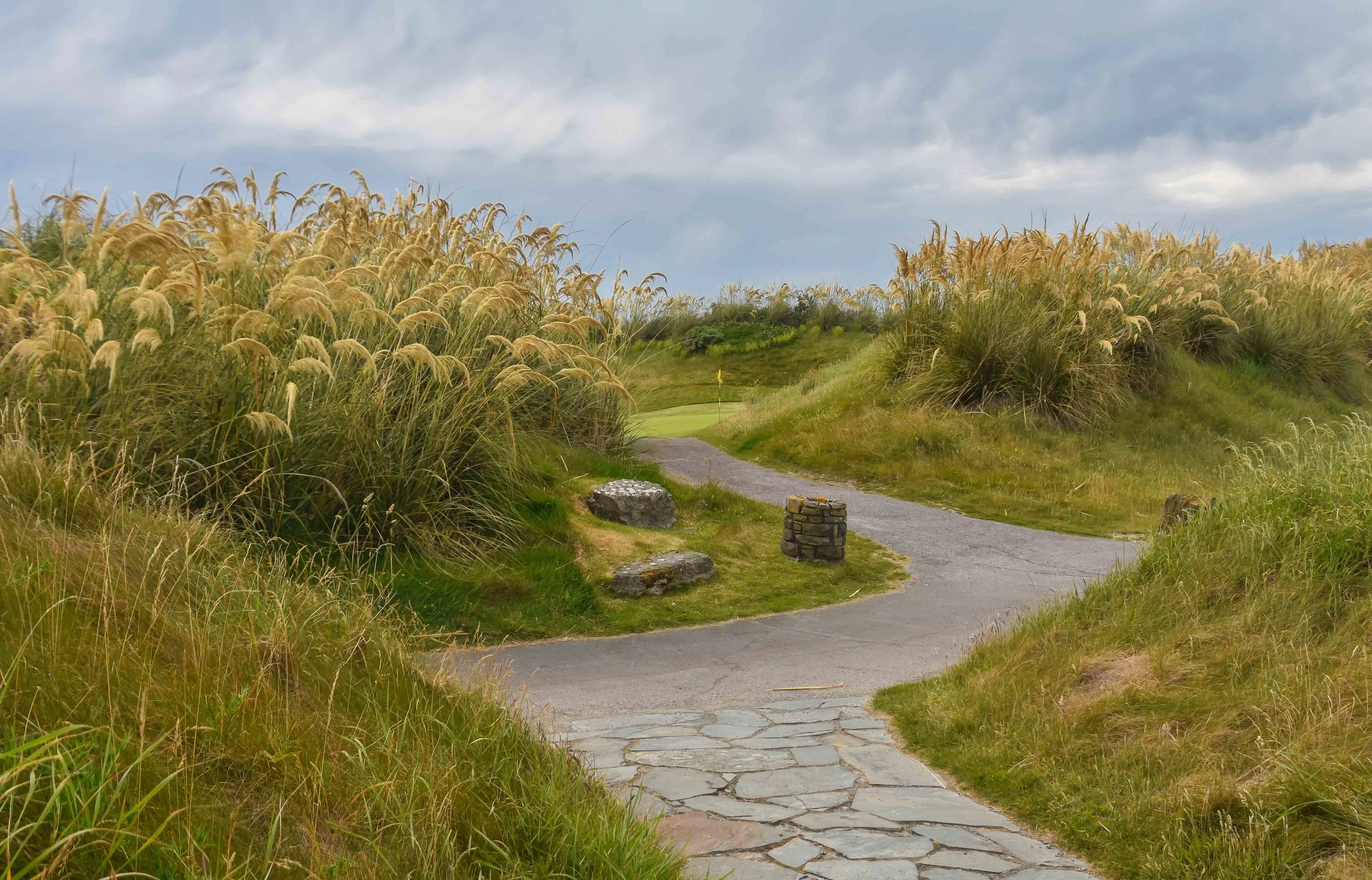 Old Head1-50.jpg