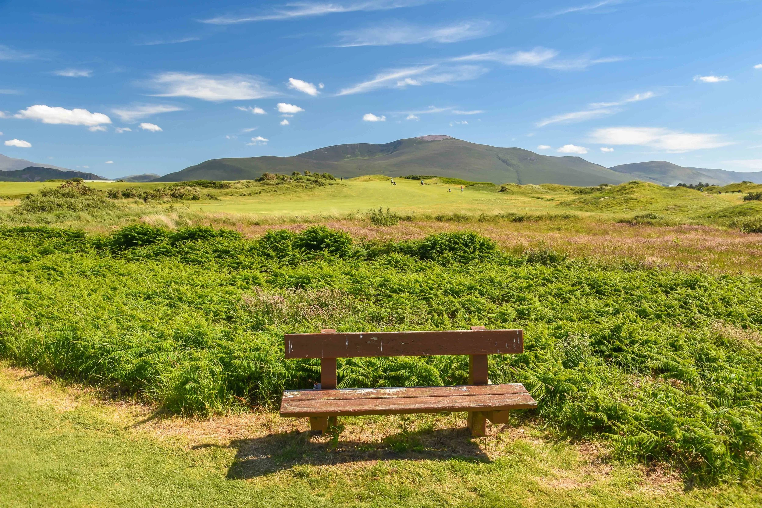 Dooks Golf Club1-16.jpg