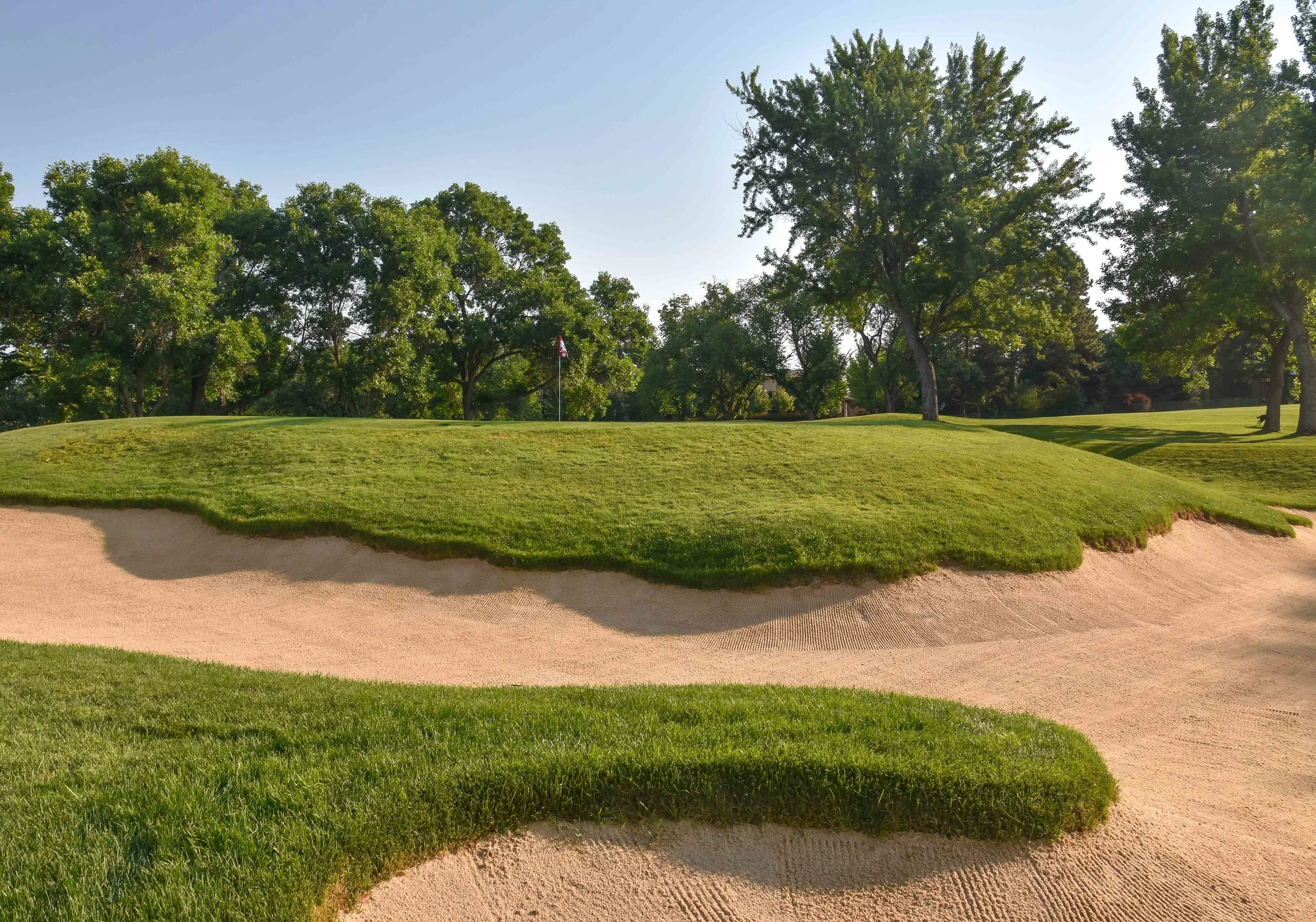 Cherry Hills1-49.jpg