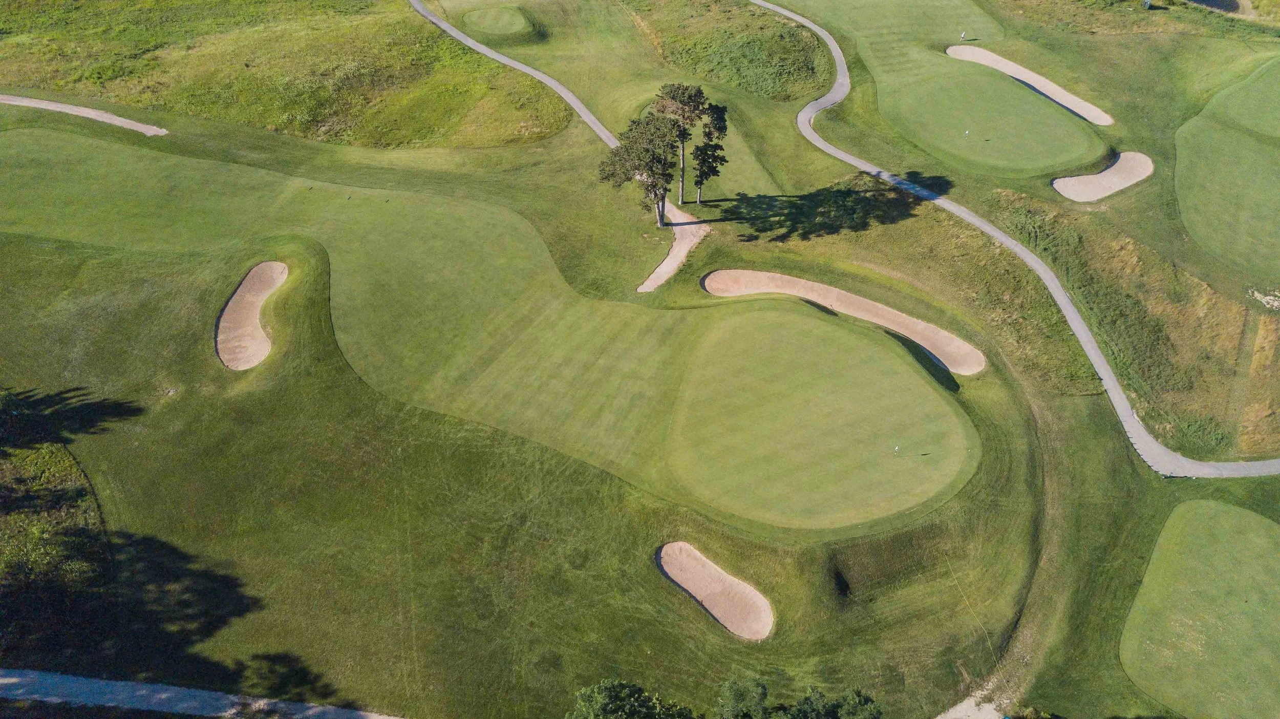 Lawsonia - Links1-106.jpg