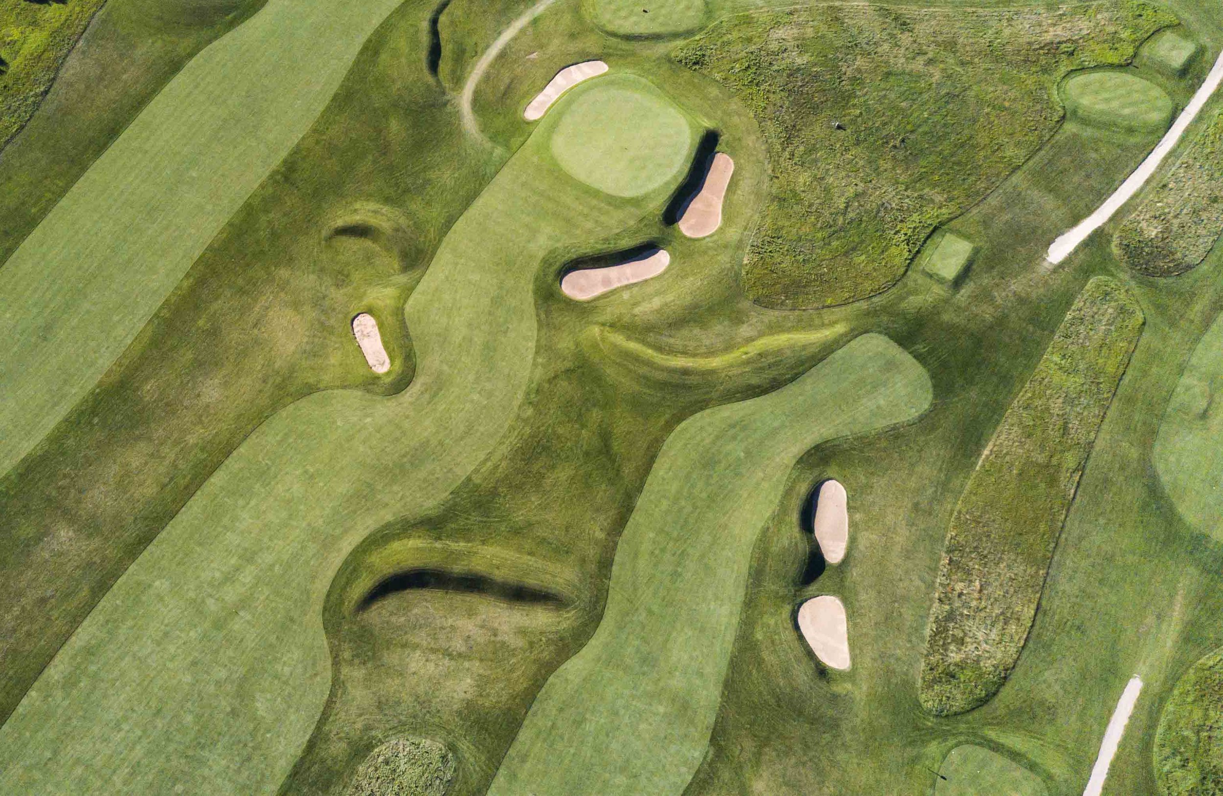 Lawsonia - Links1-93.jpg