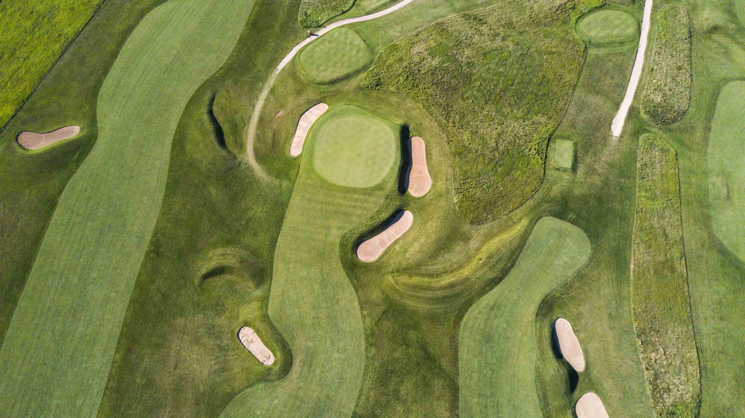 Lawsonia - Links1-97.jpg