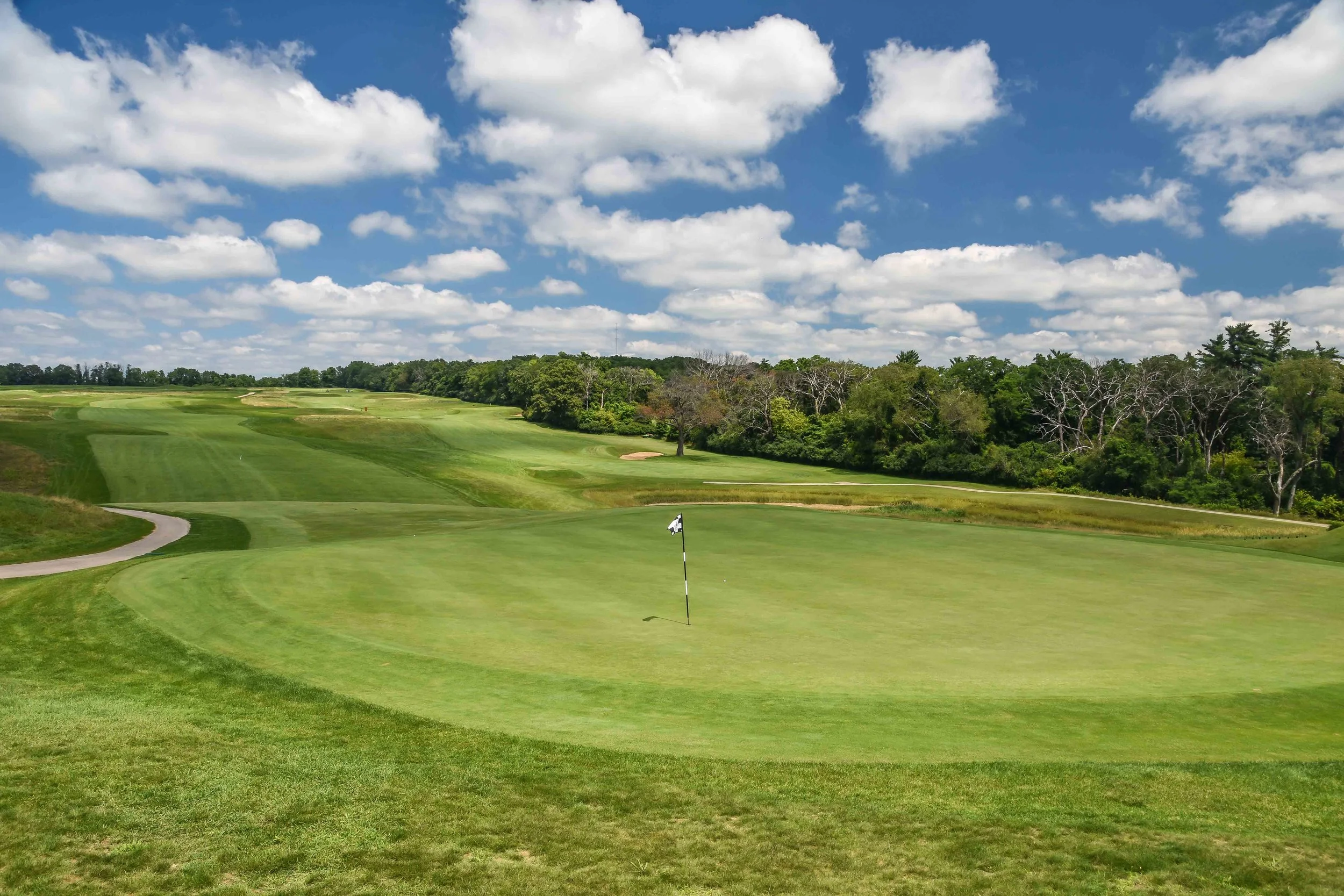 Lawsonia - Links1-50.jpg