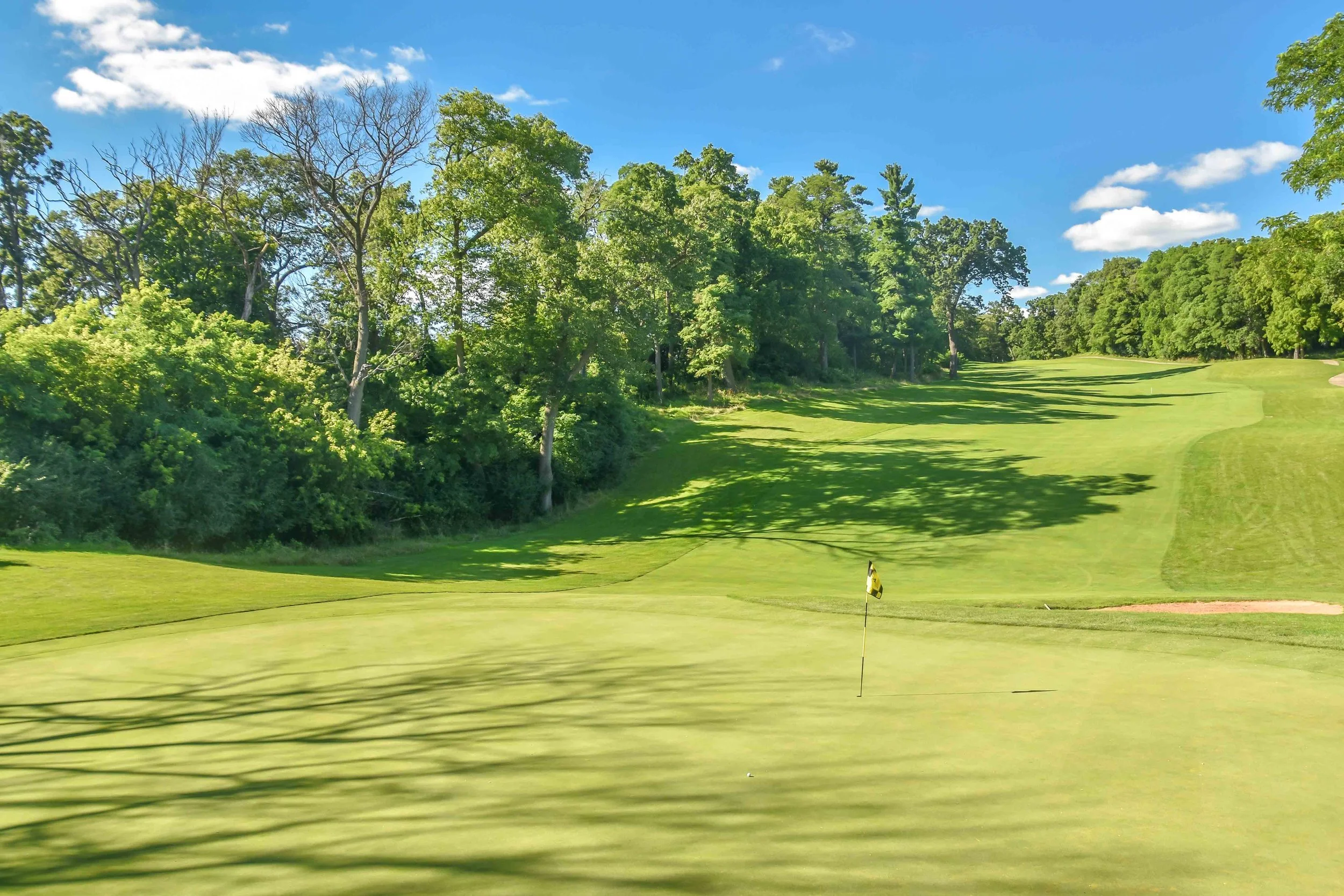 Lawsonia - Woodlands1-43.jpg