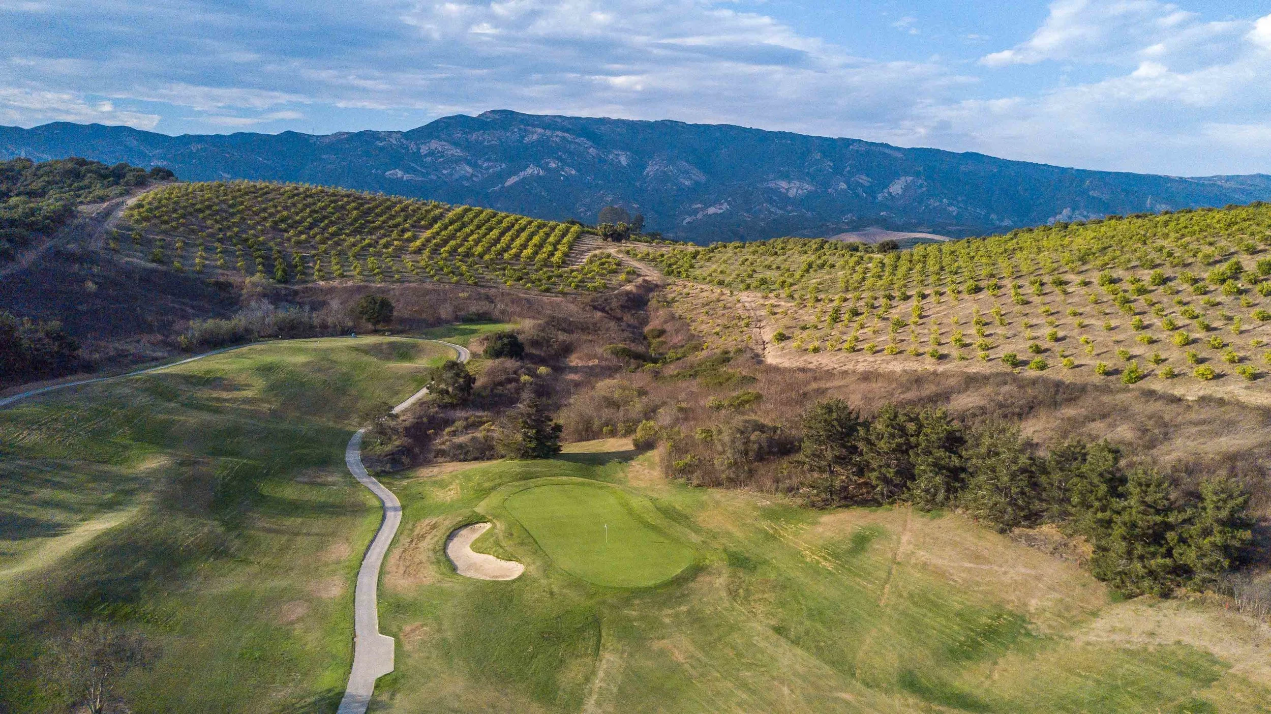 A view of the 10th hole at Glen Annie with lemon trees in the backdrop.
