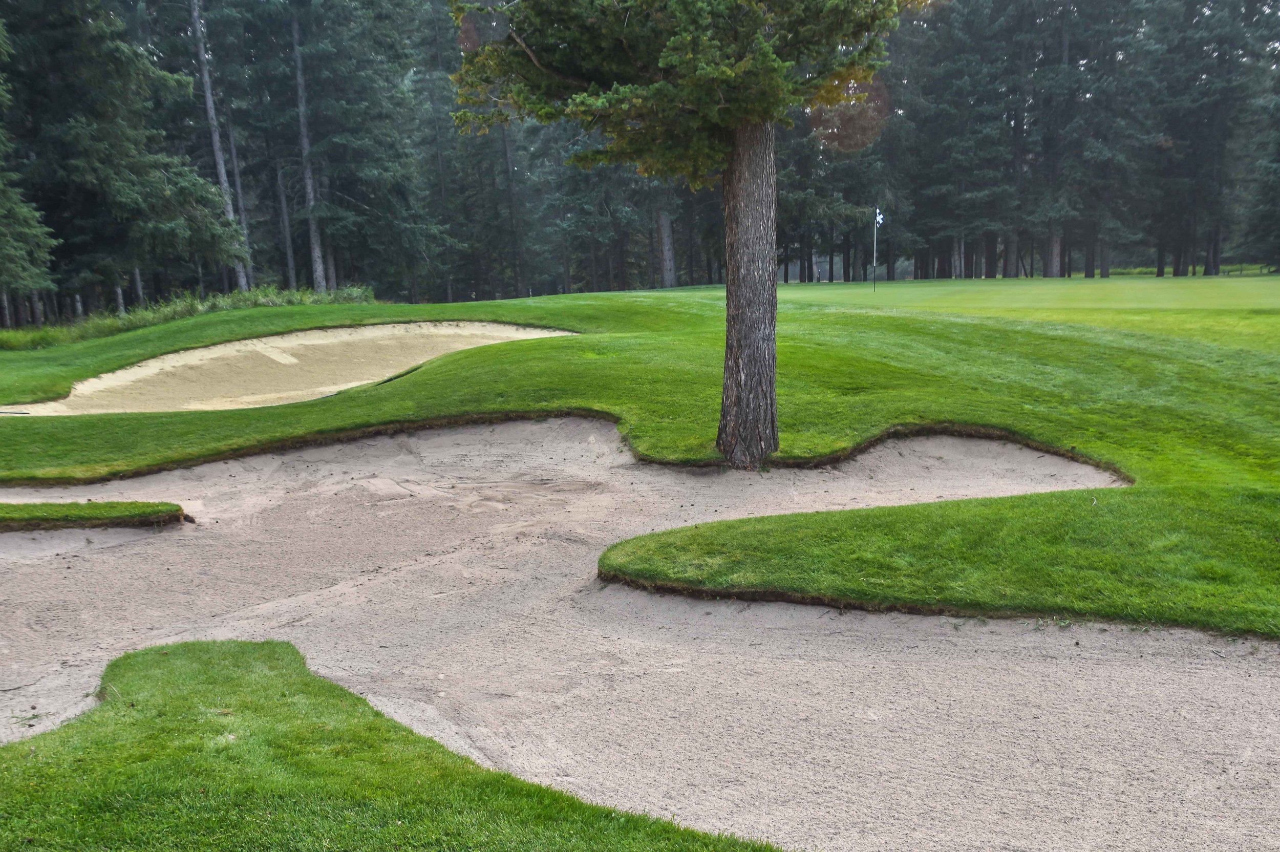 Fairmont Springs Banff Golf 1-62.jpg