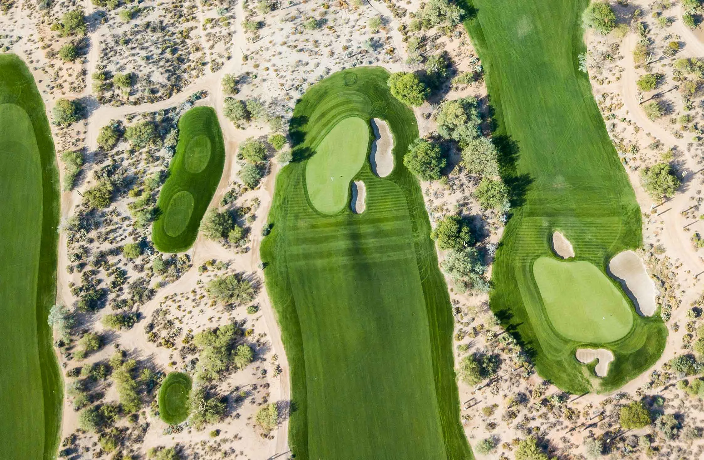 Desert Forest Golf Club1-105.jpg