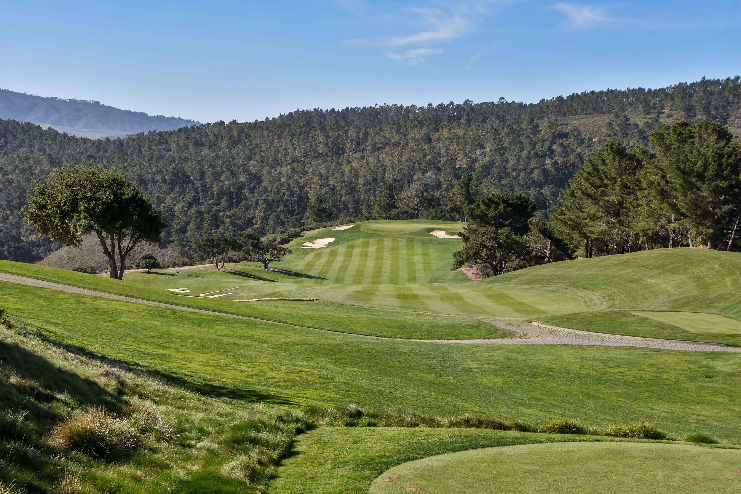 Tehama1-11.jpg