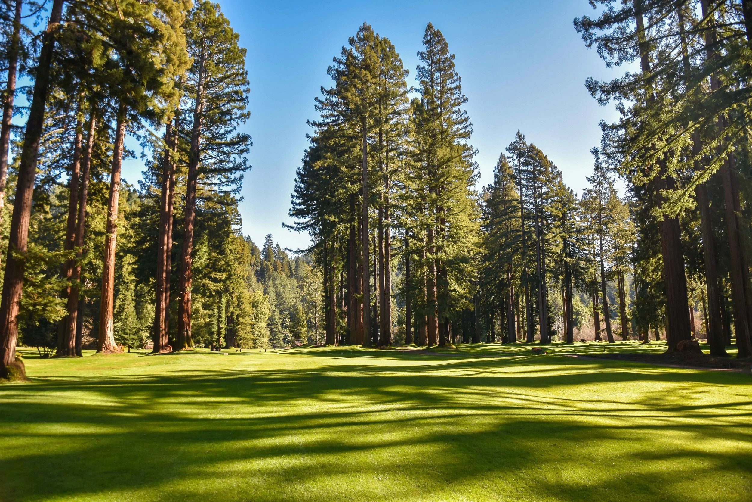Northwood Golf Course — PJKoenig Golf Photography PJKoenig Golf Photography  - Golf Photos For Those Who Love The Game.