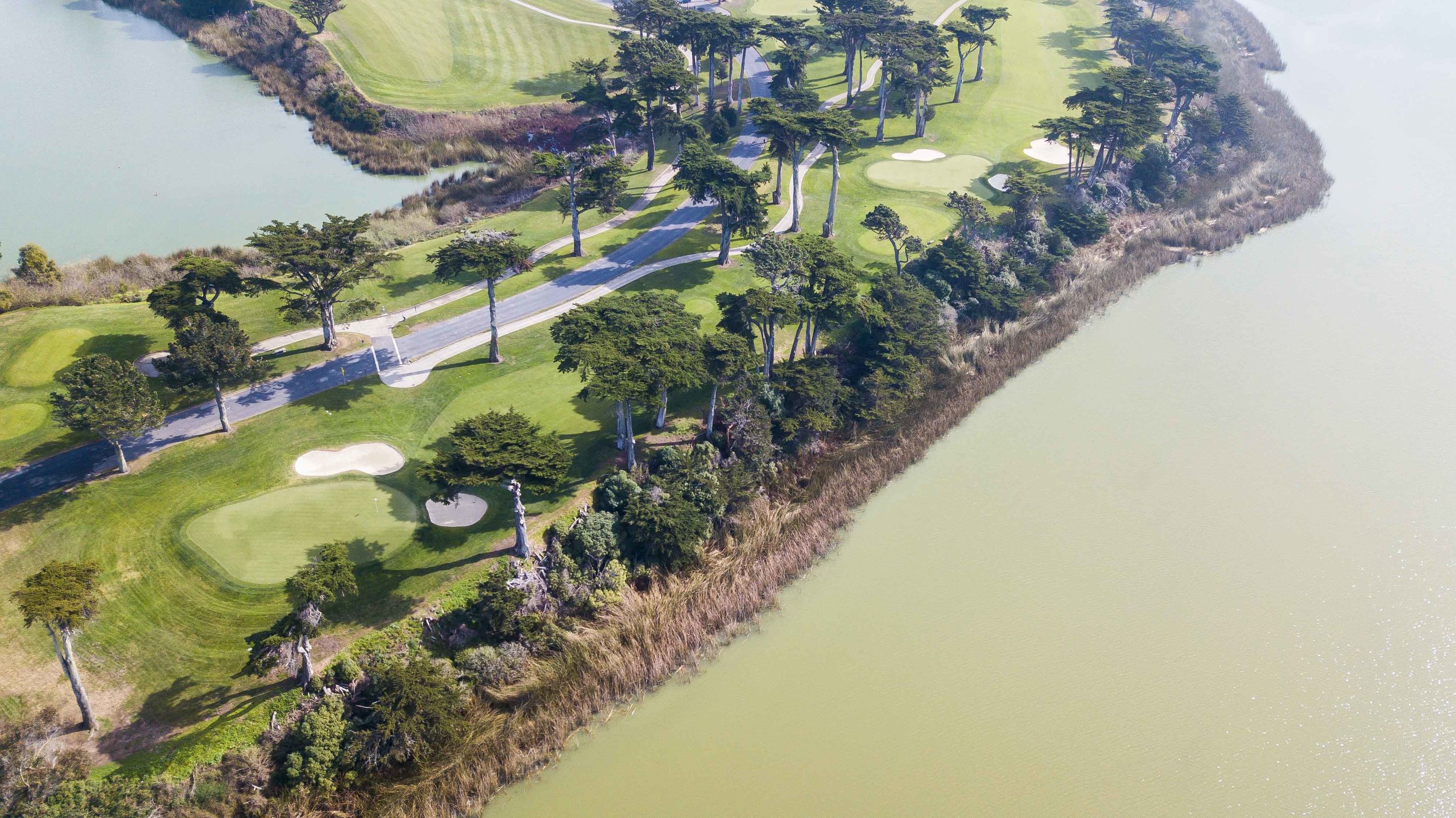 Harding Park1-3.jpg