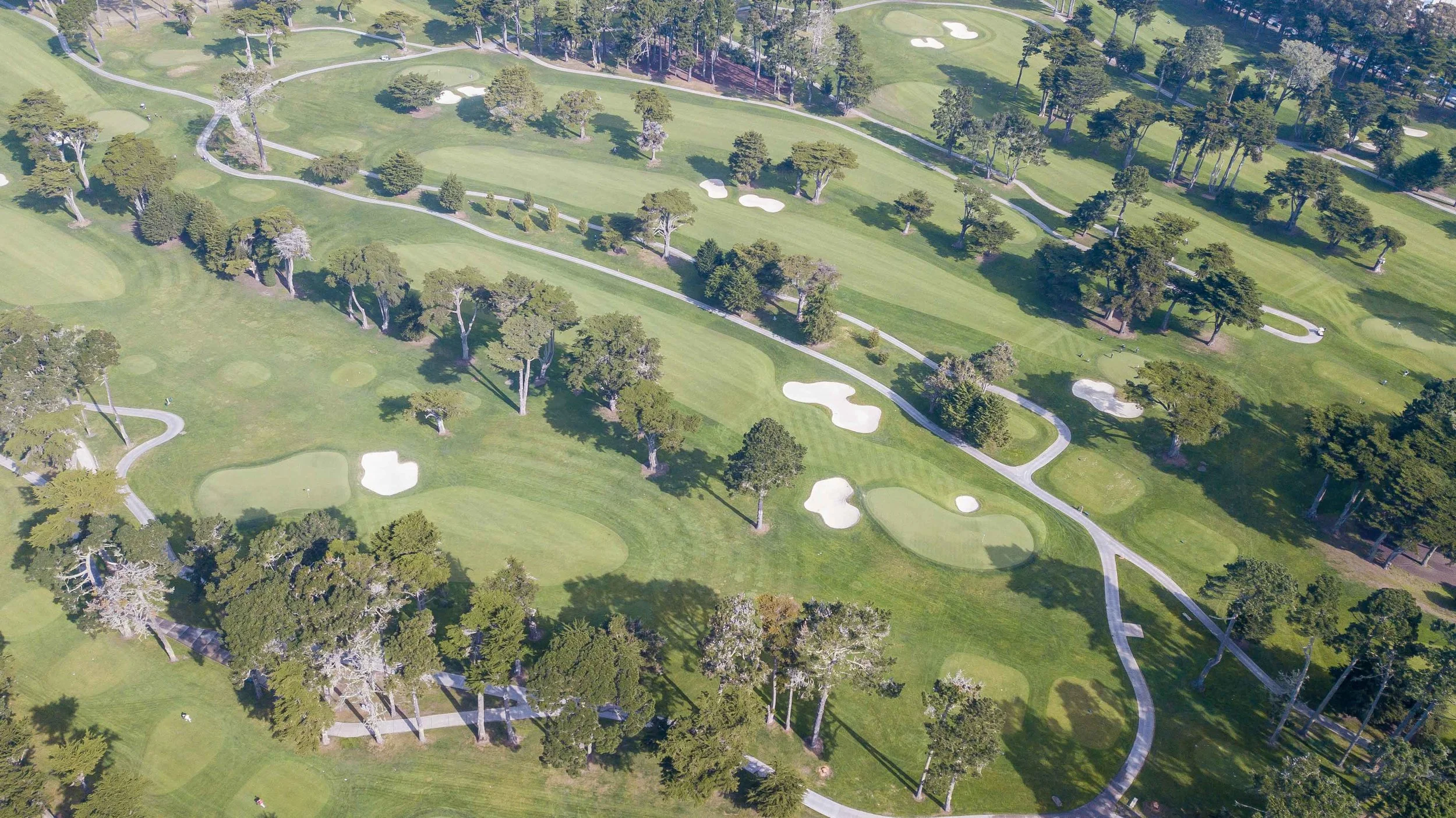 Harding Park1-10.jpg