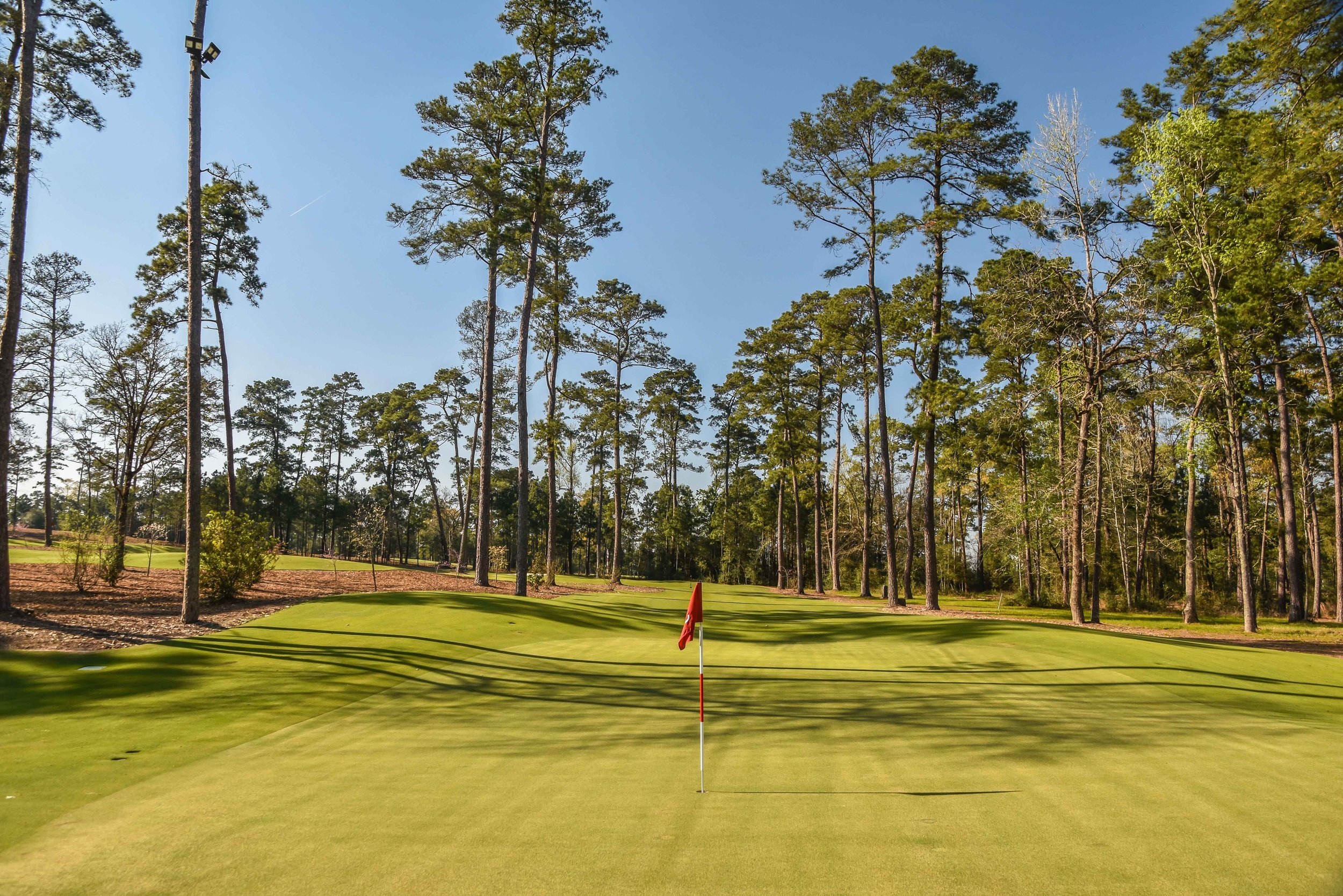 Bluejack National1-84.jpg