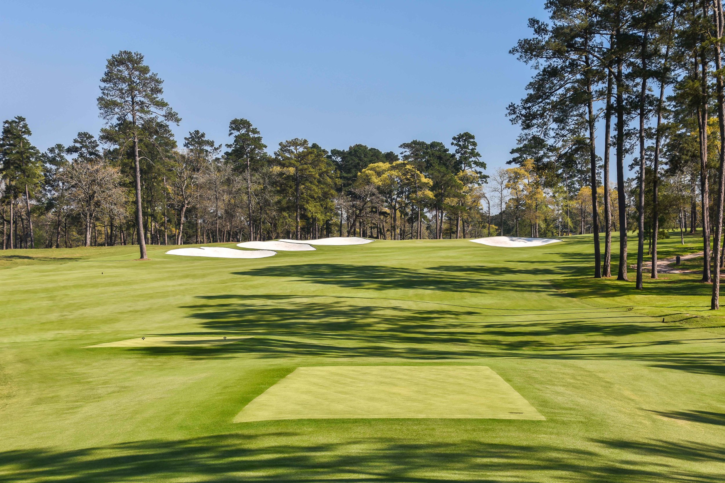 Bluejack National1-75.jpg