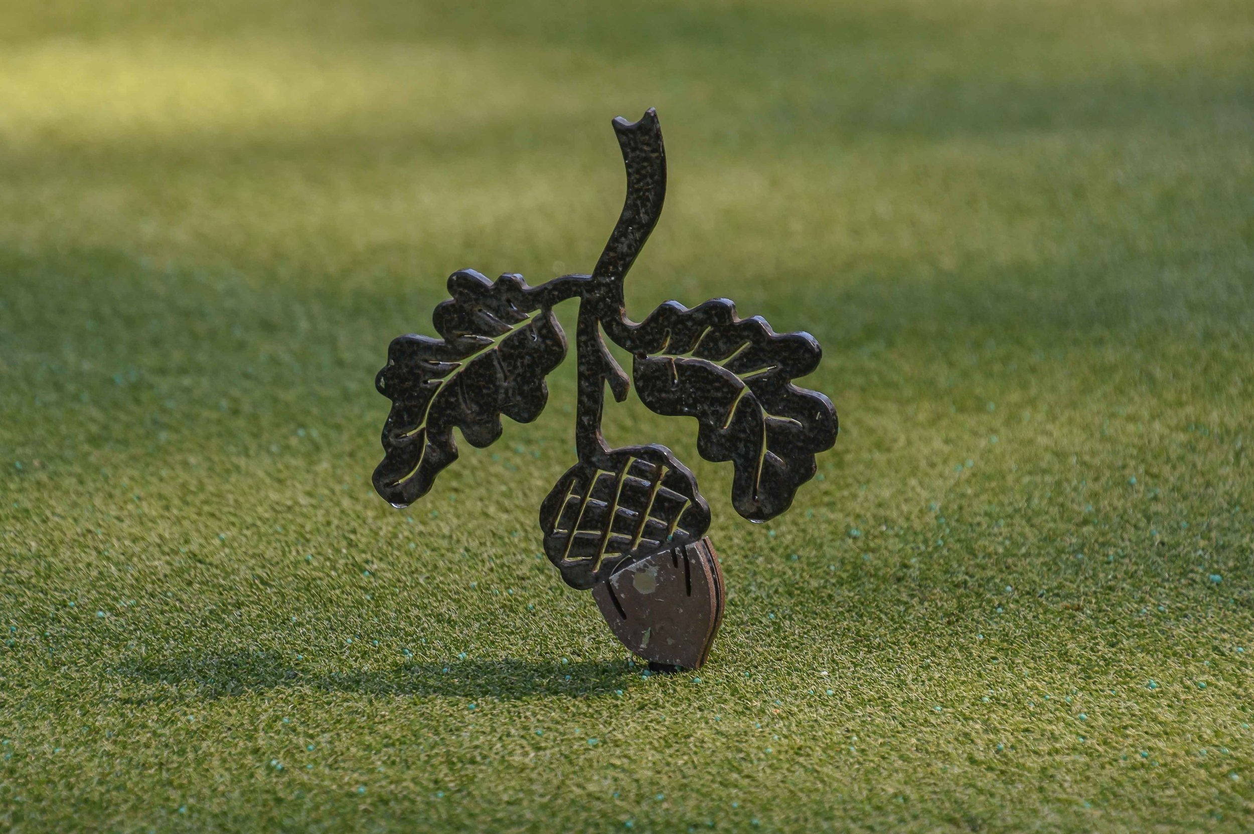 Bluejack National1-63.jpg