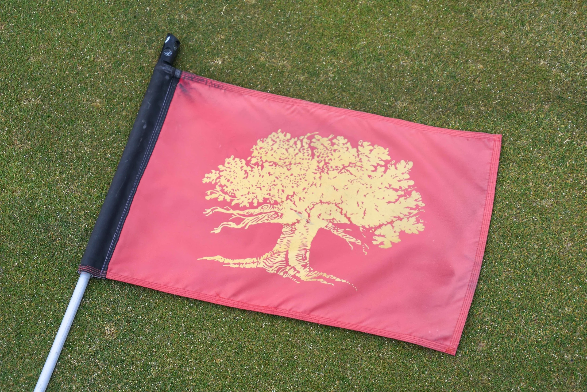 Oak Tree National1-99.jpg
