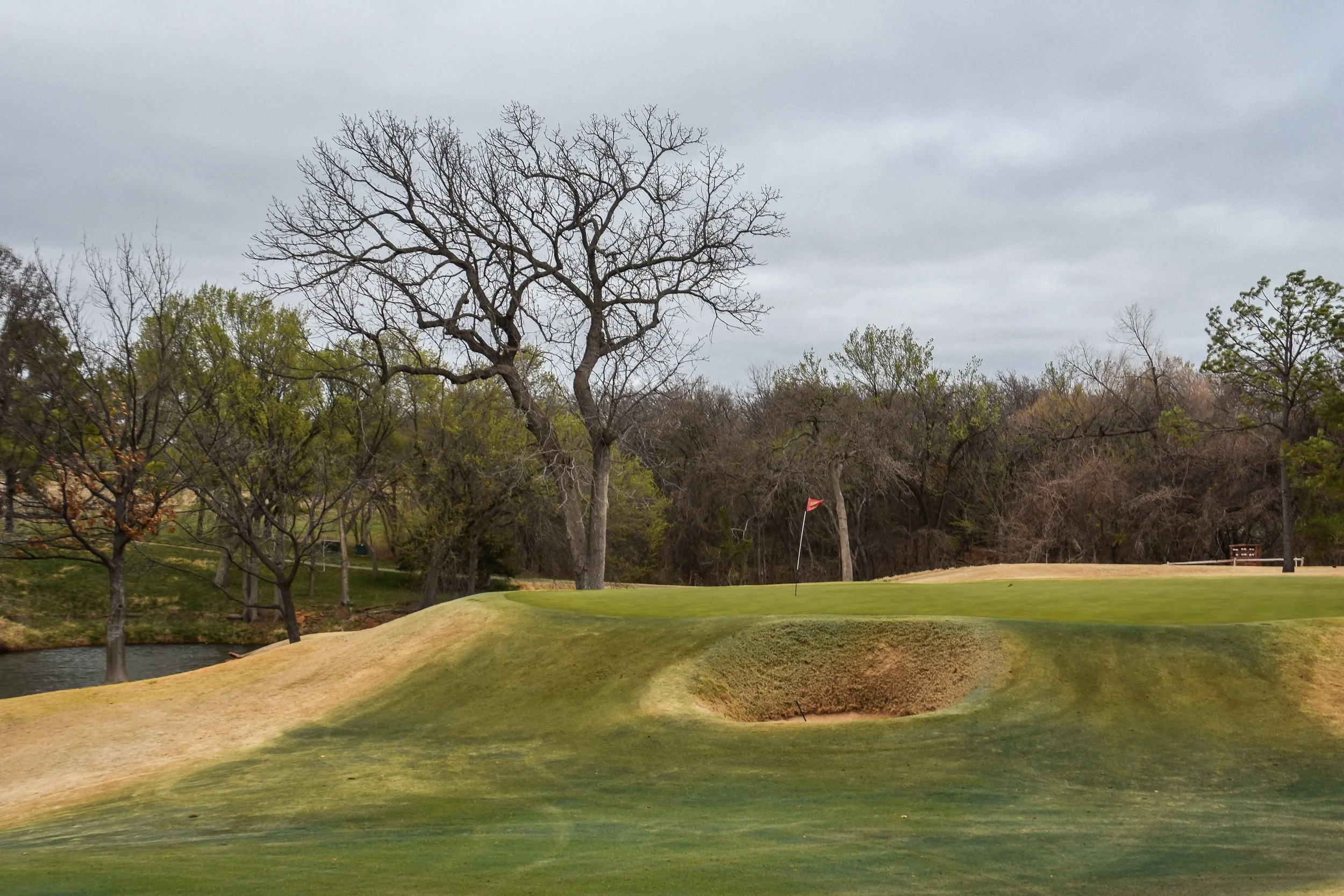 Oak Tree National1-71.jpg