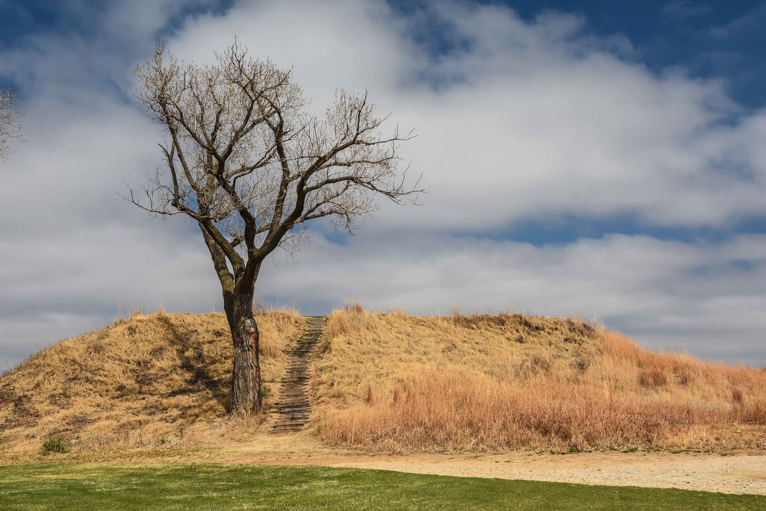 Prairie Dunes1-121.jpg