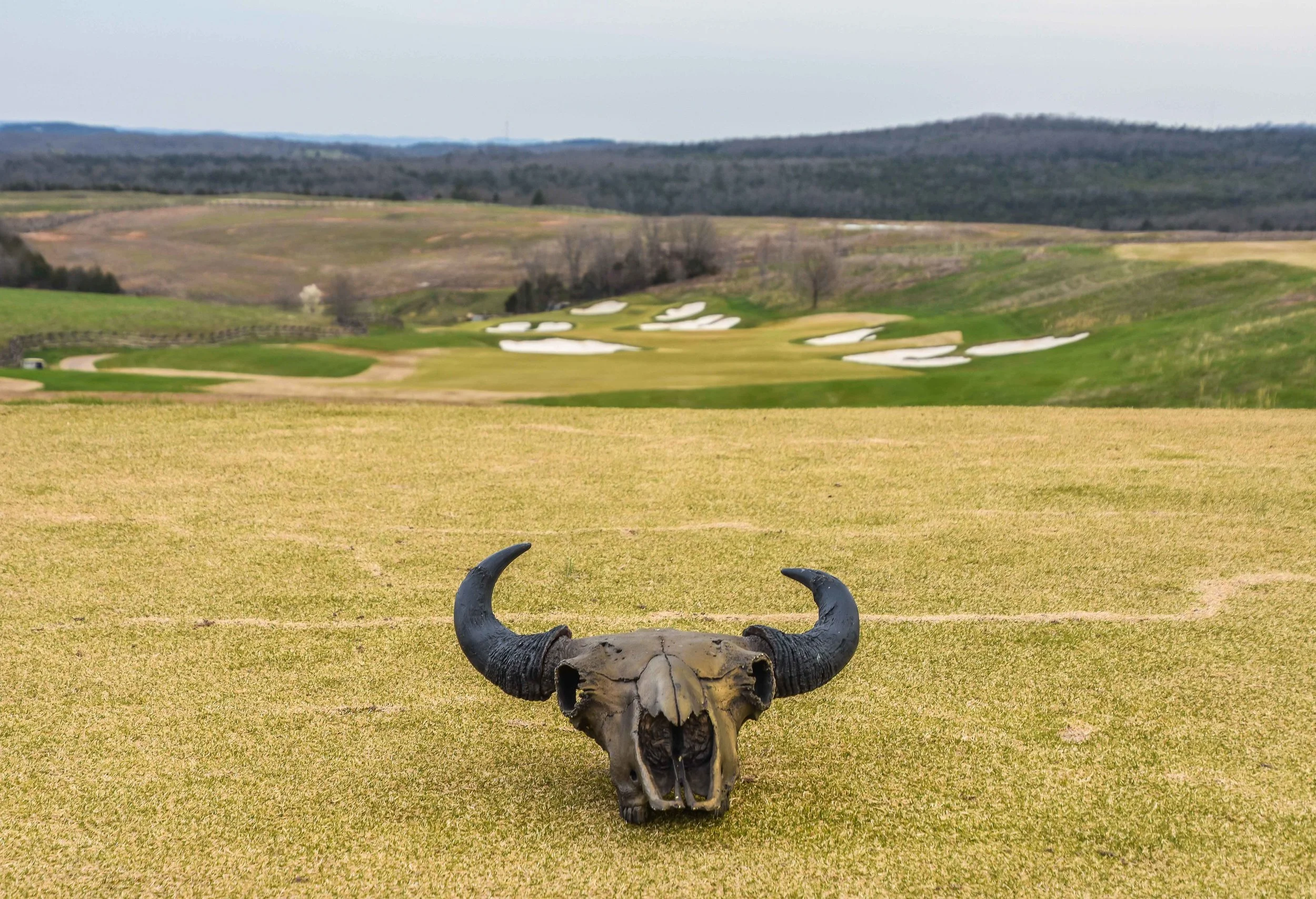 Buffalo Ridge Golf Club1-40.jpg