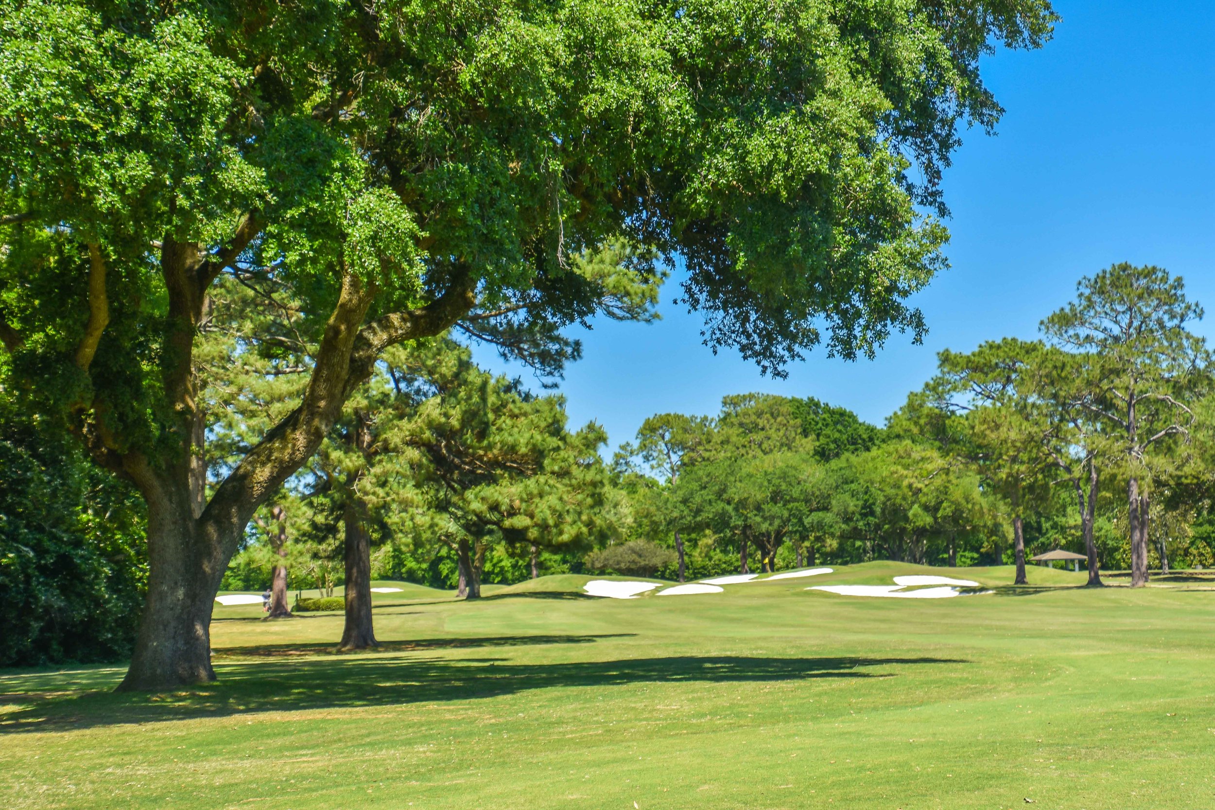 Oakbourne Country Club1-7.jpg