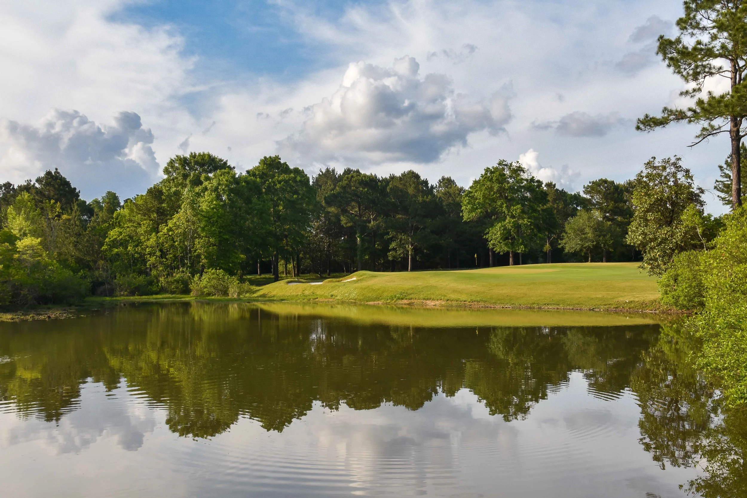 Fallen Oak1-58.jpg