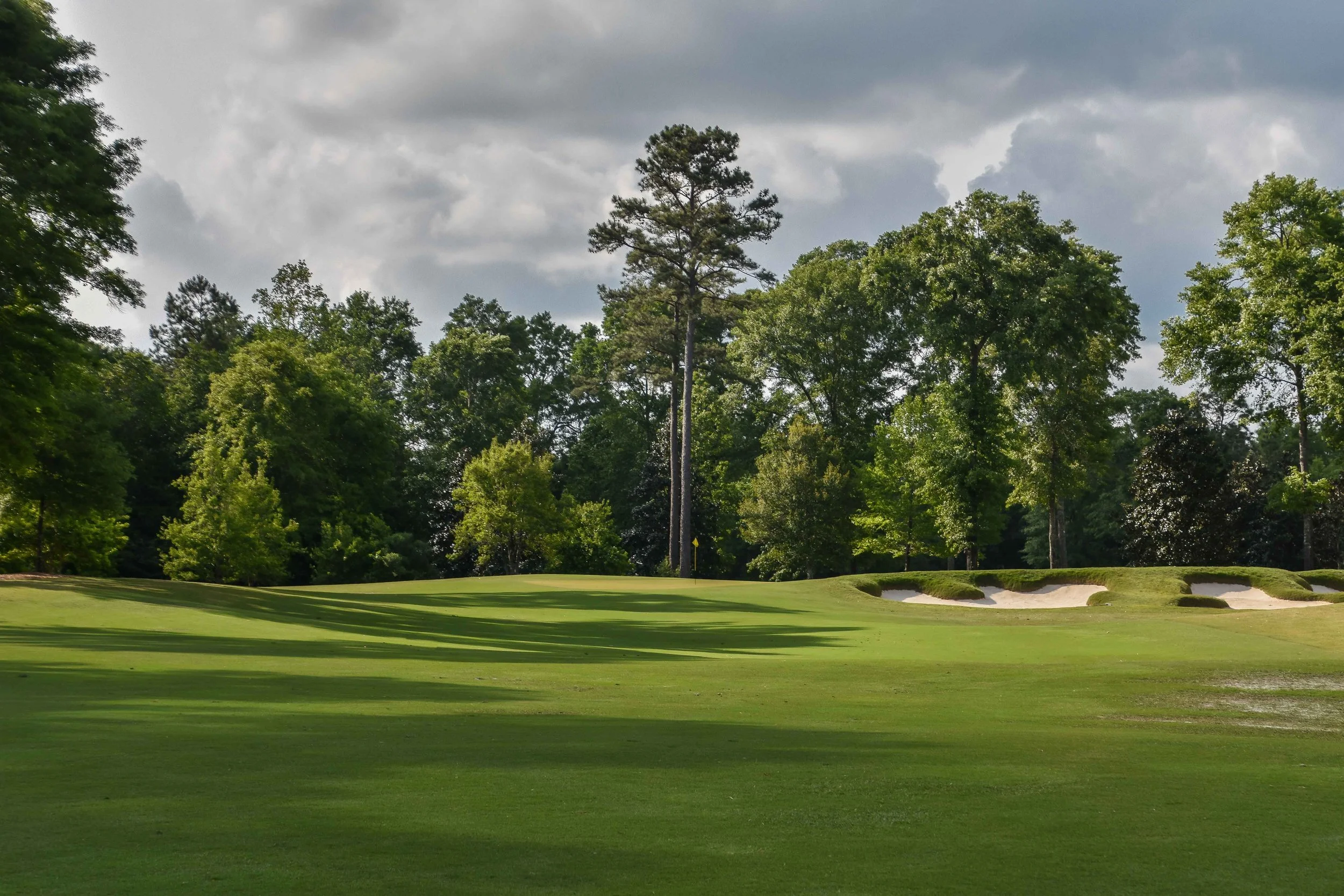 Fallen Oak1-49.jpg