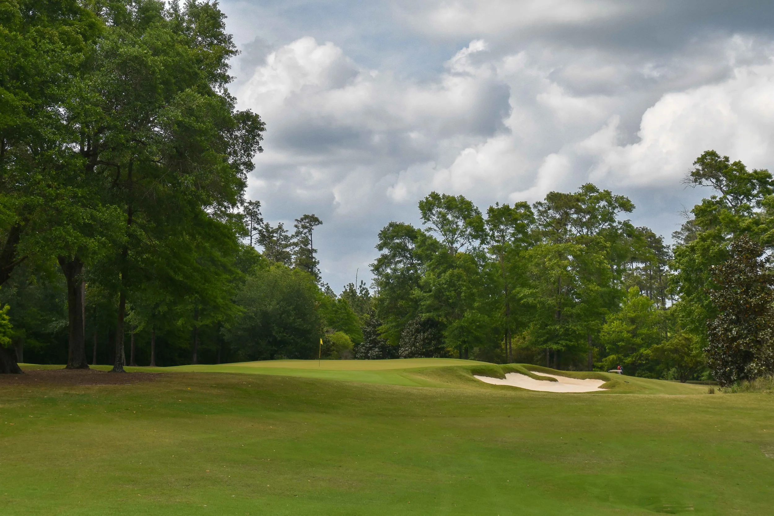 Fallen Oak1-40.jpg