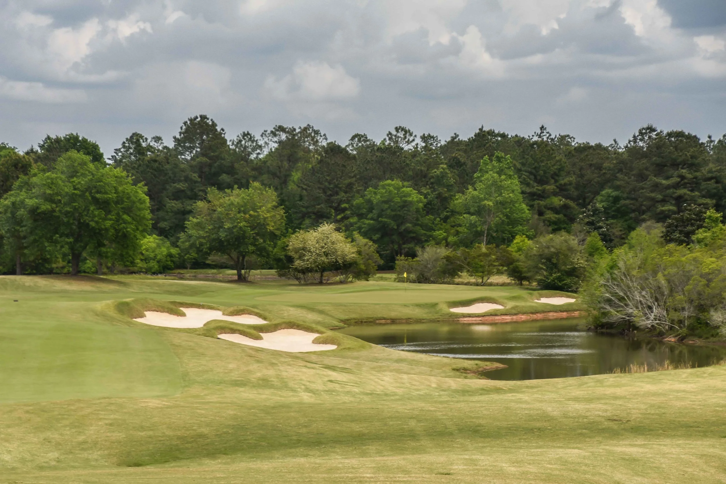 Fallen Oak1-34.jpg