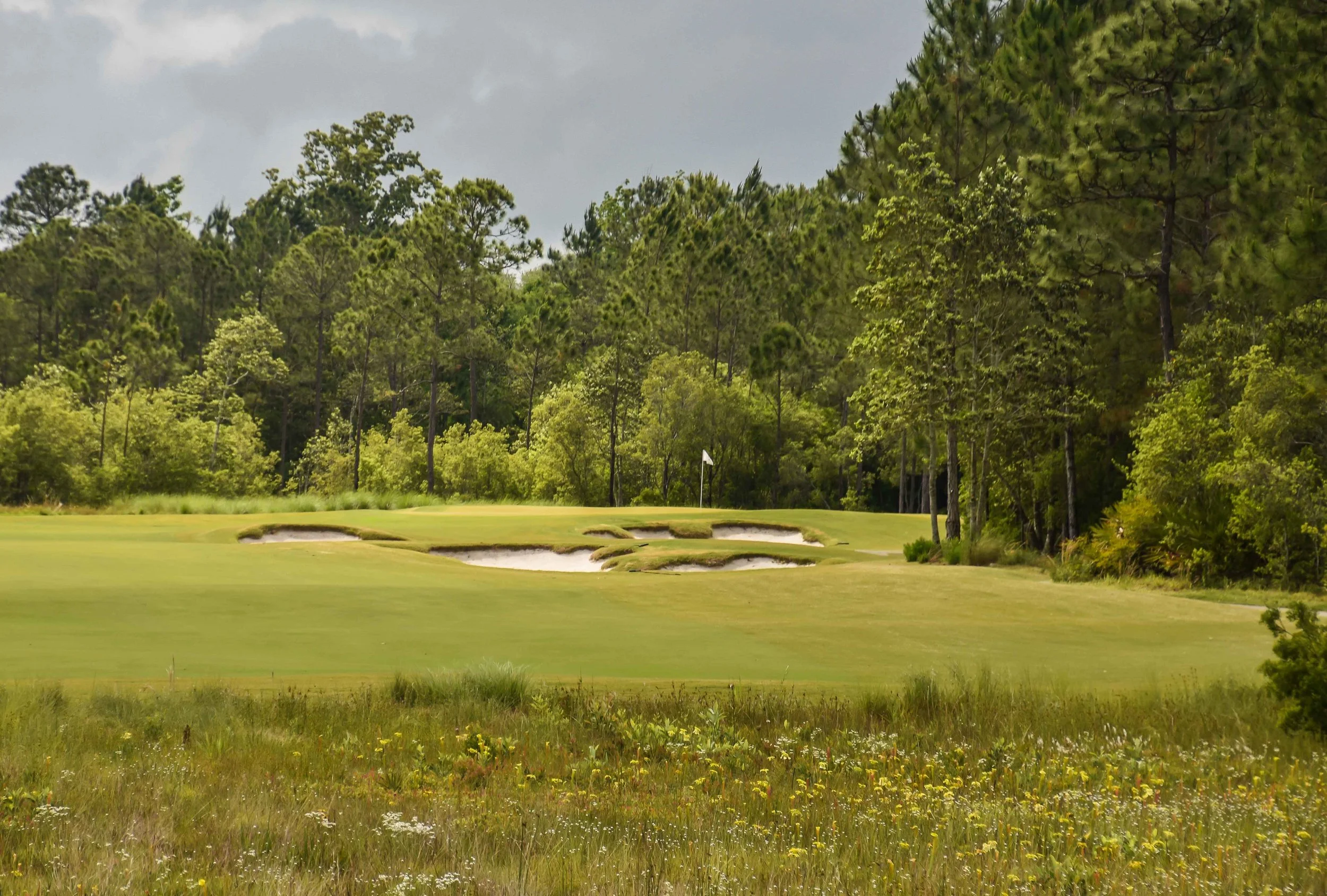 The Preserve1-100.jpg