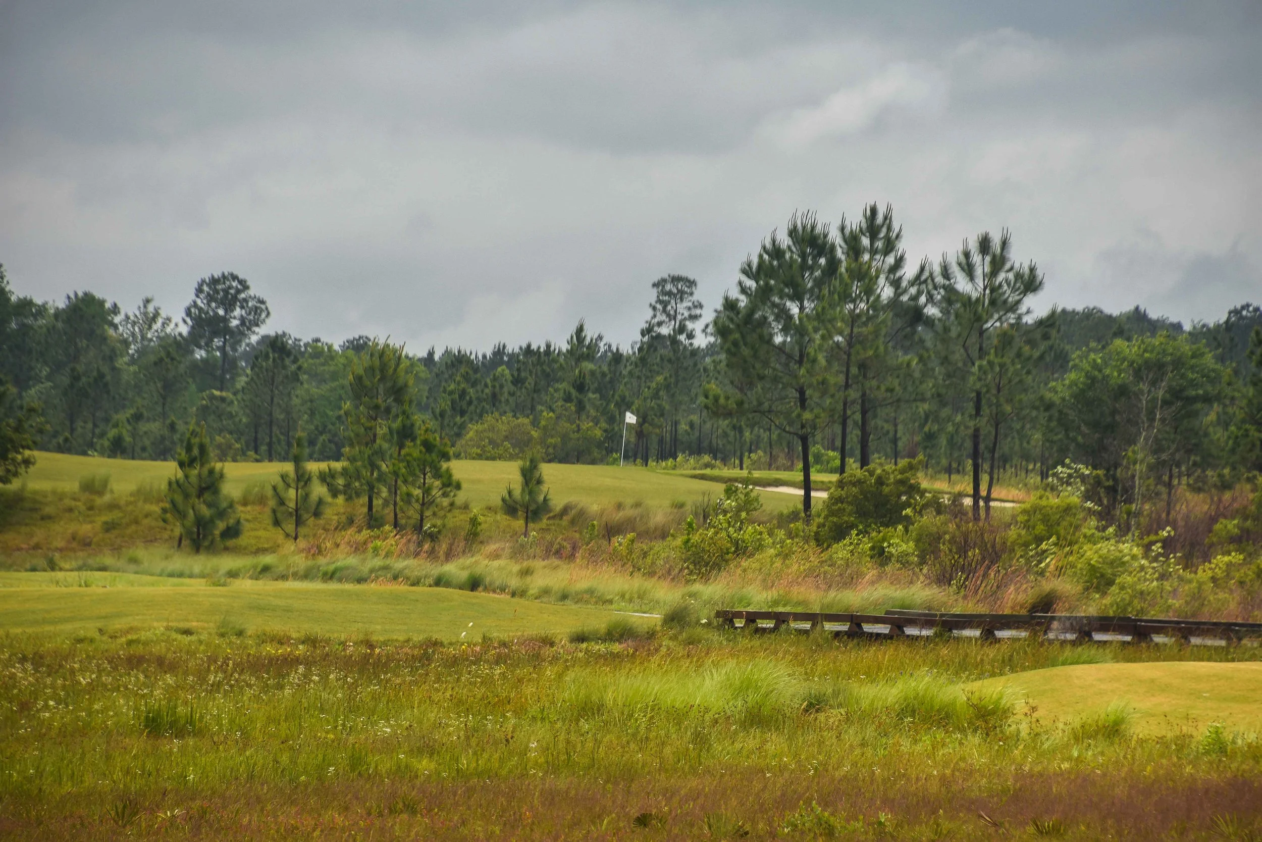 The Preserve1-60.jpg