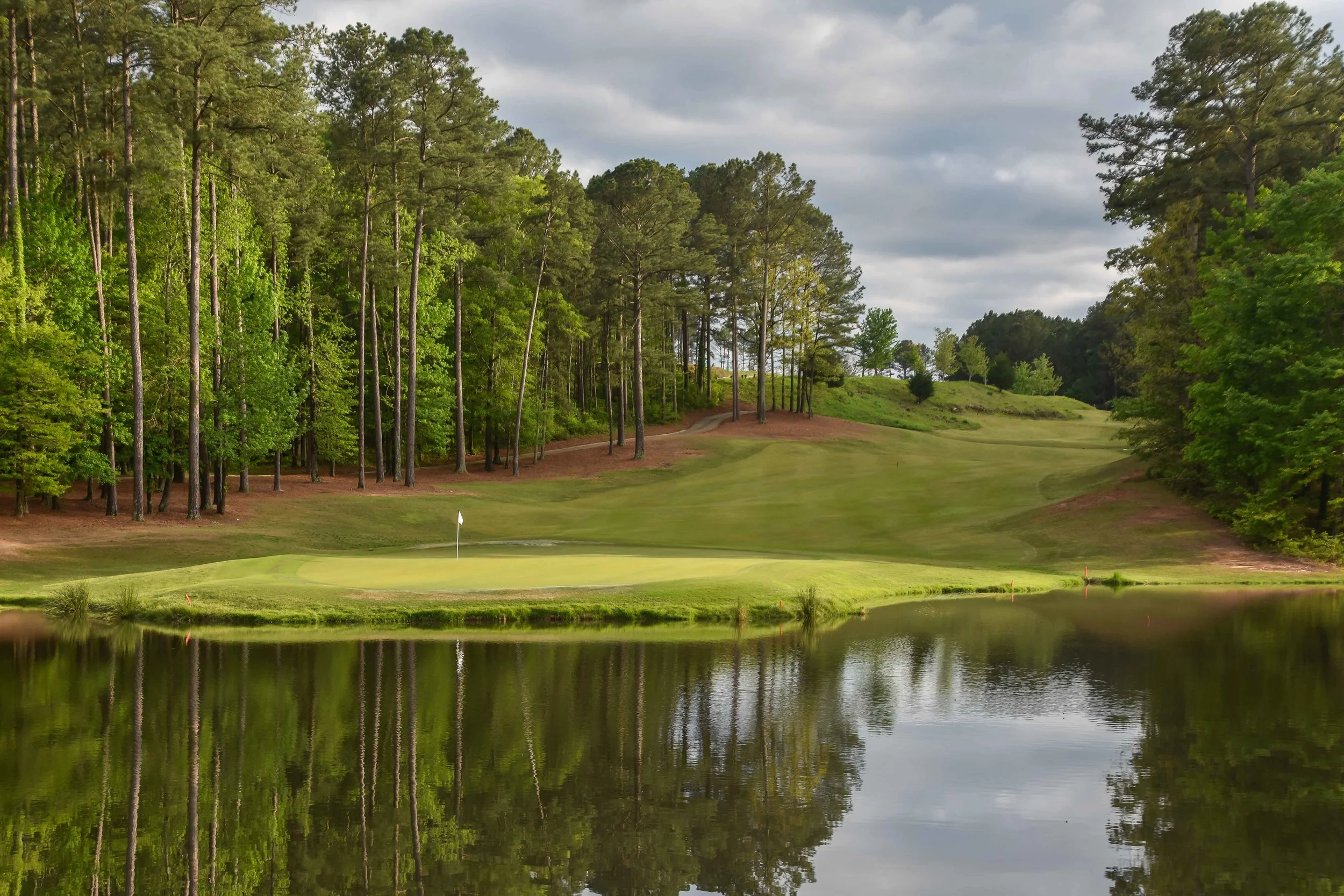 Dancing Rabbit - Oaks1-80.jpg