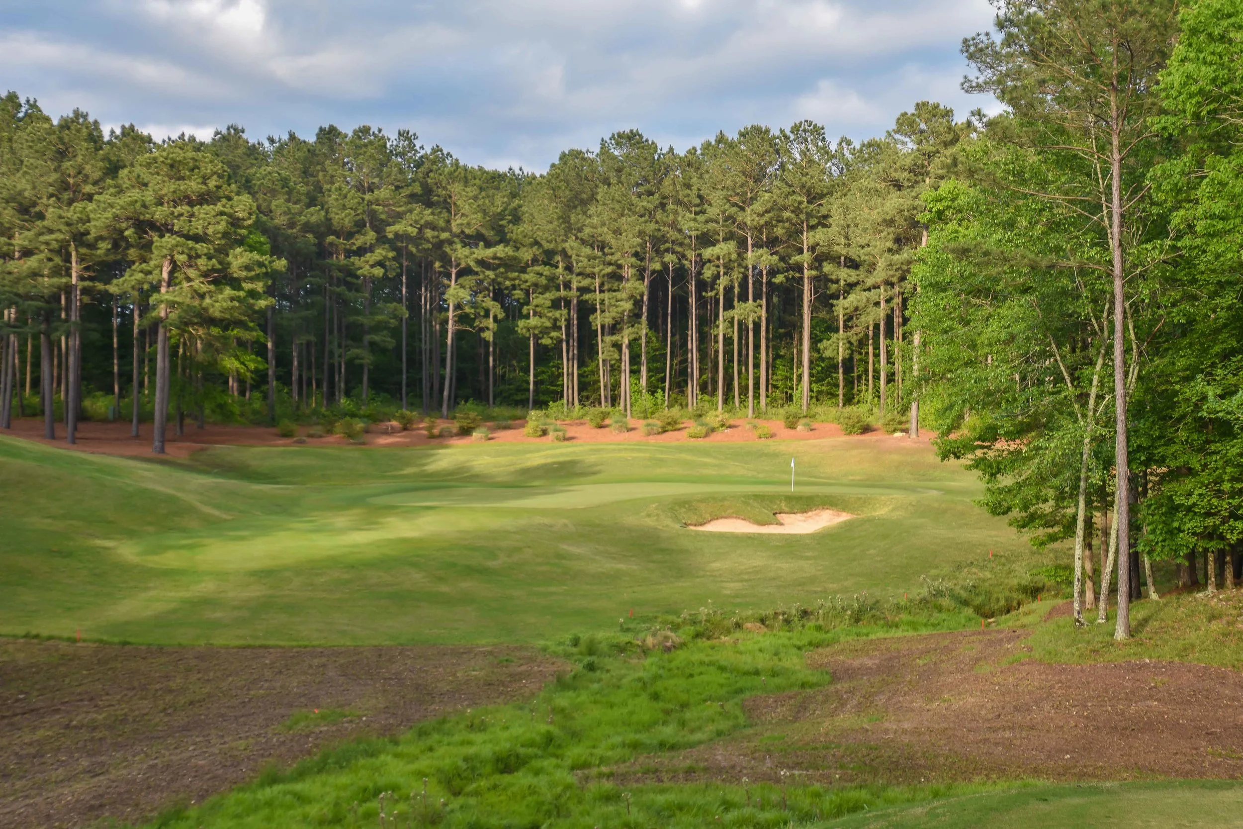 Dancing Rabbit - Oaks1-84.jpg
