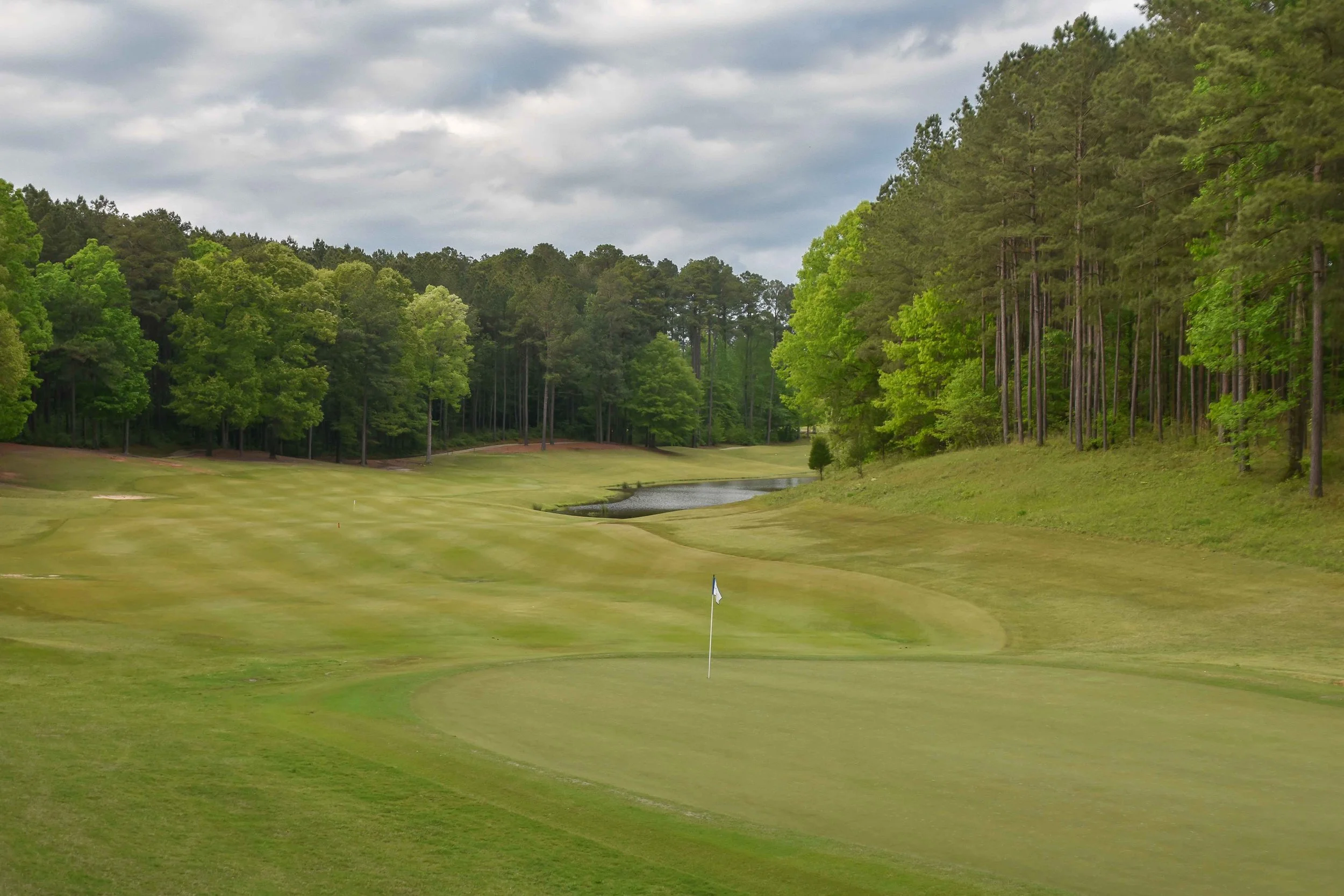 Dancing Rabbit - Oaks1-77.jpg