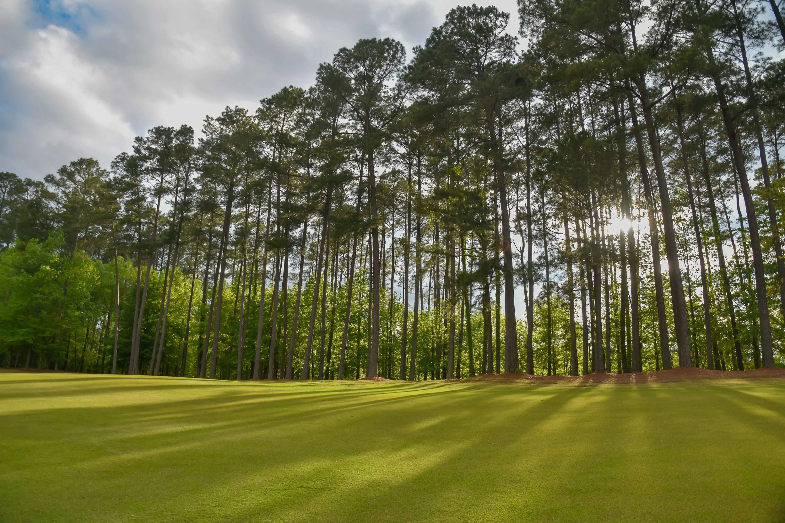 Dancing Rabbit - Oaks1-74.jpg