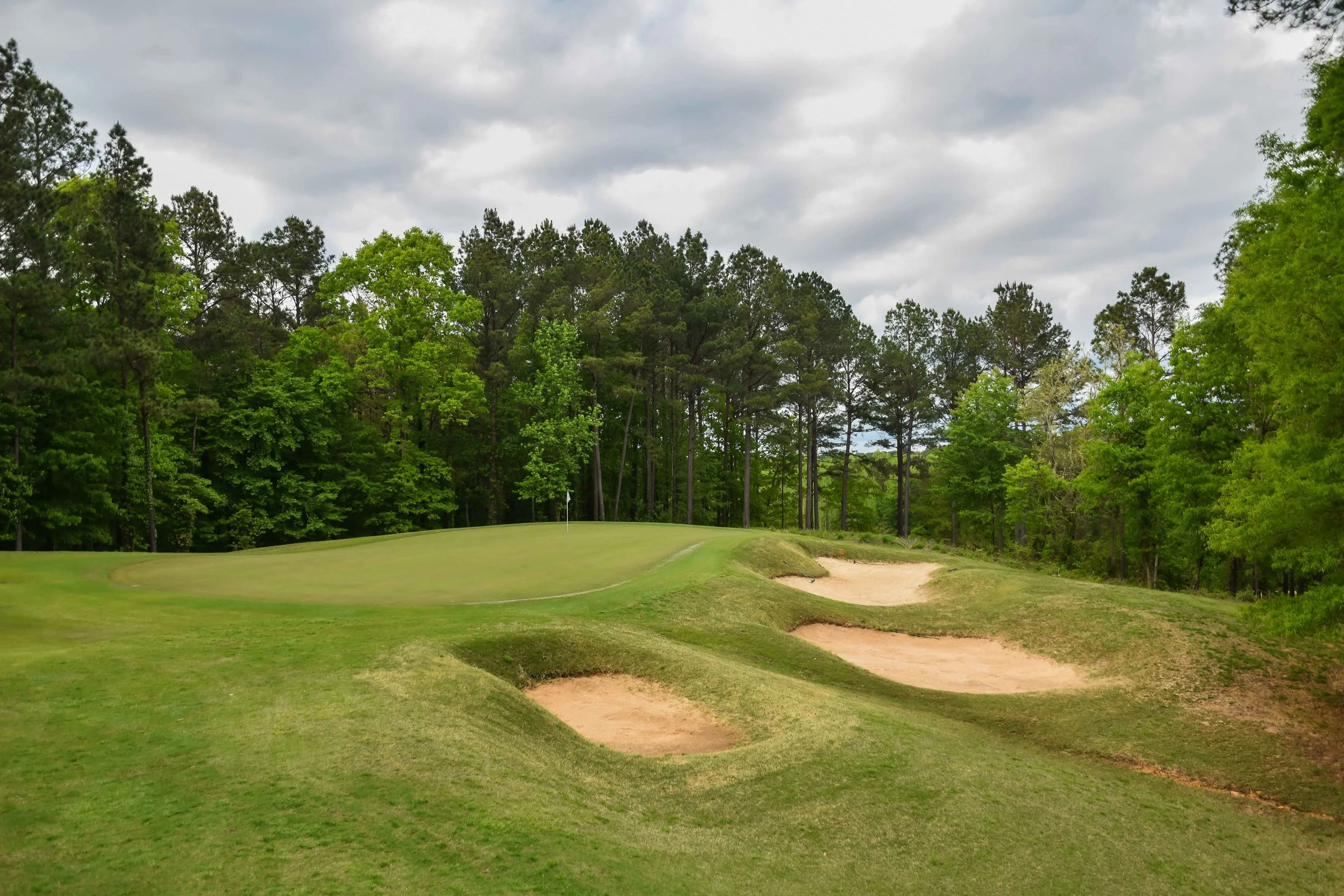 Dancing Rabbit - Oaks1-73.jpg