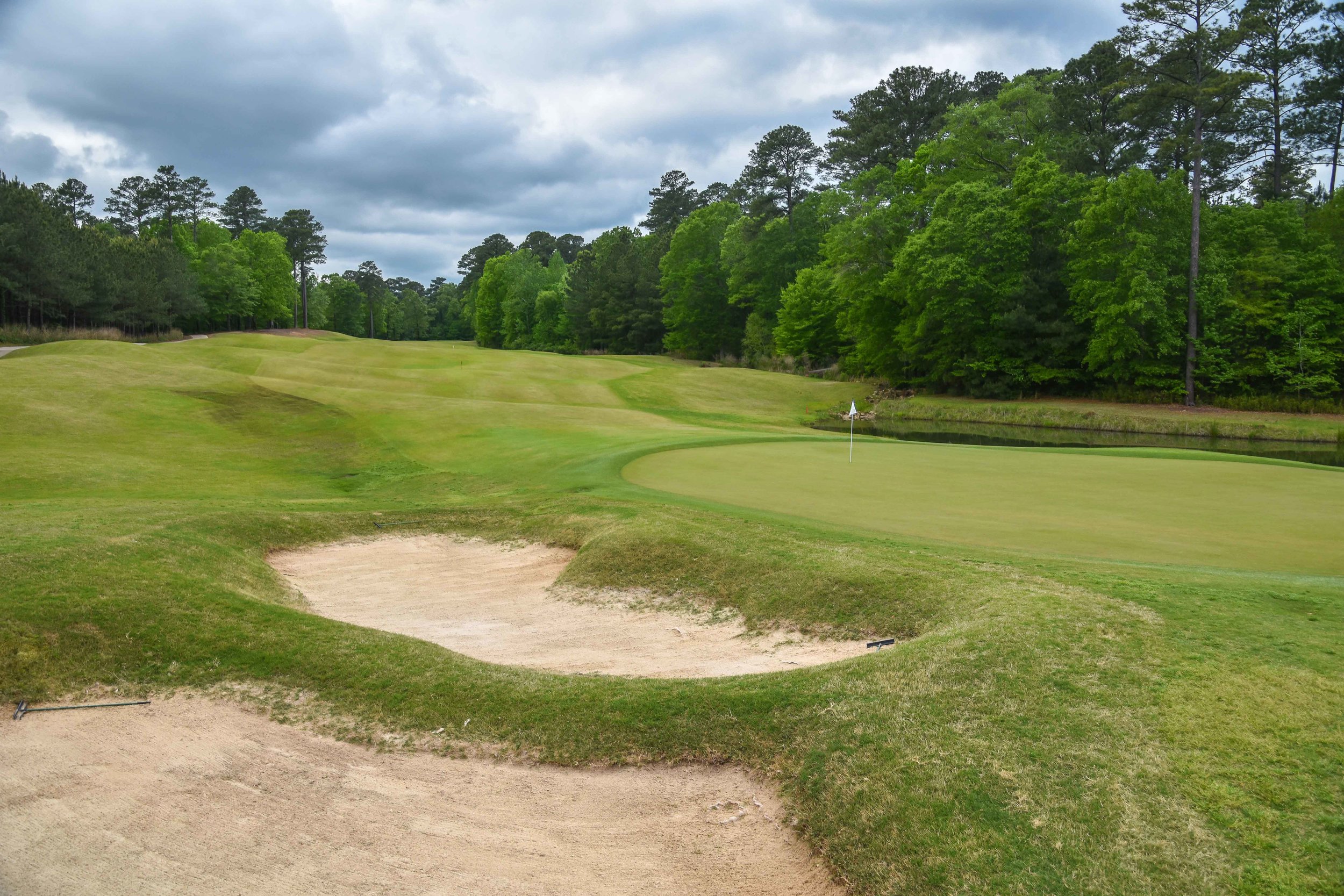 Dancing Rabbit - Oaks1-72.jpg