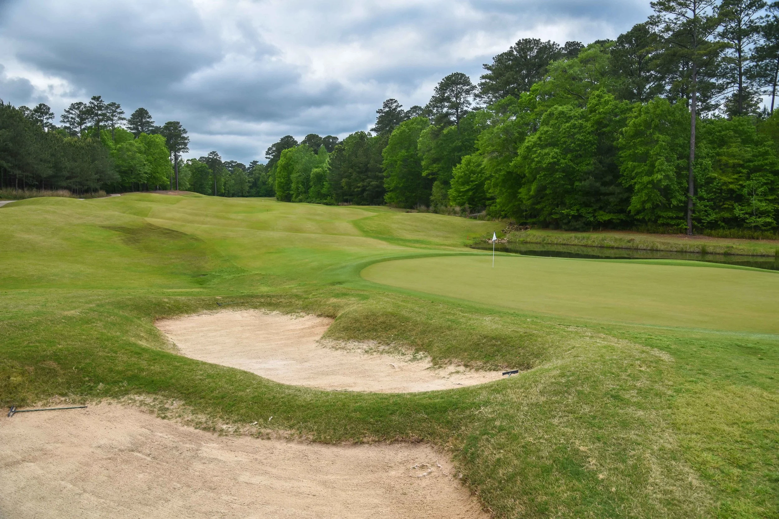Dancing Rabbit - Oaks1-72.jpg
