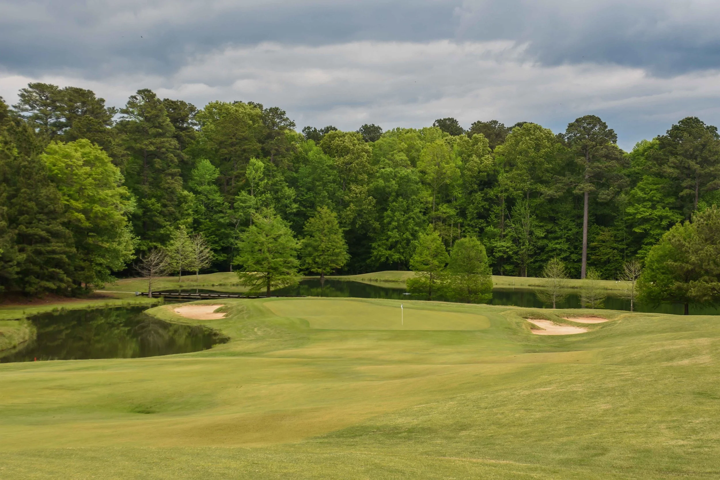 Dancing Rabbit - Oaks1-70.jpg