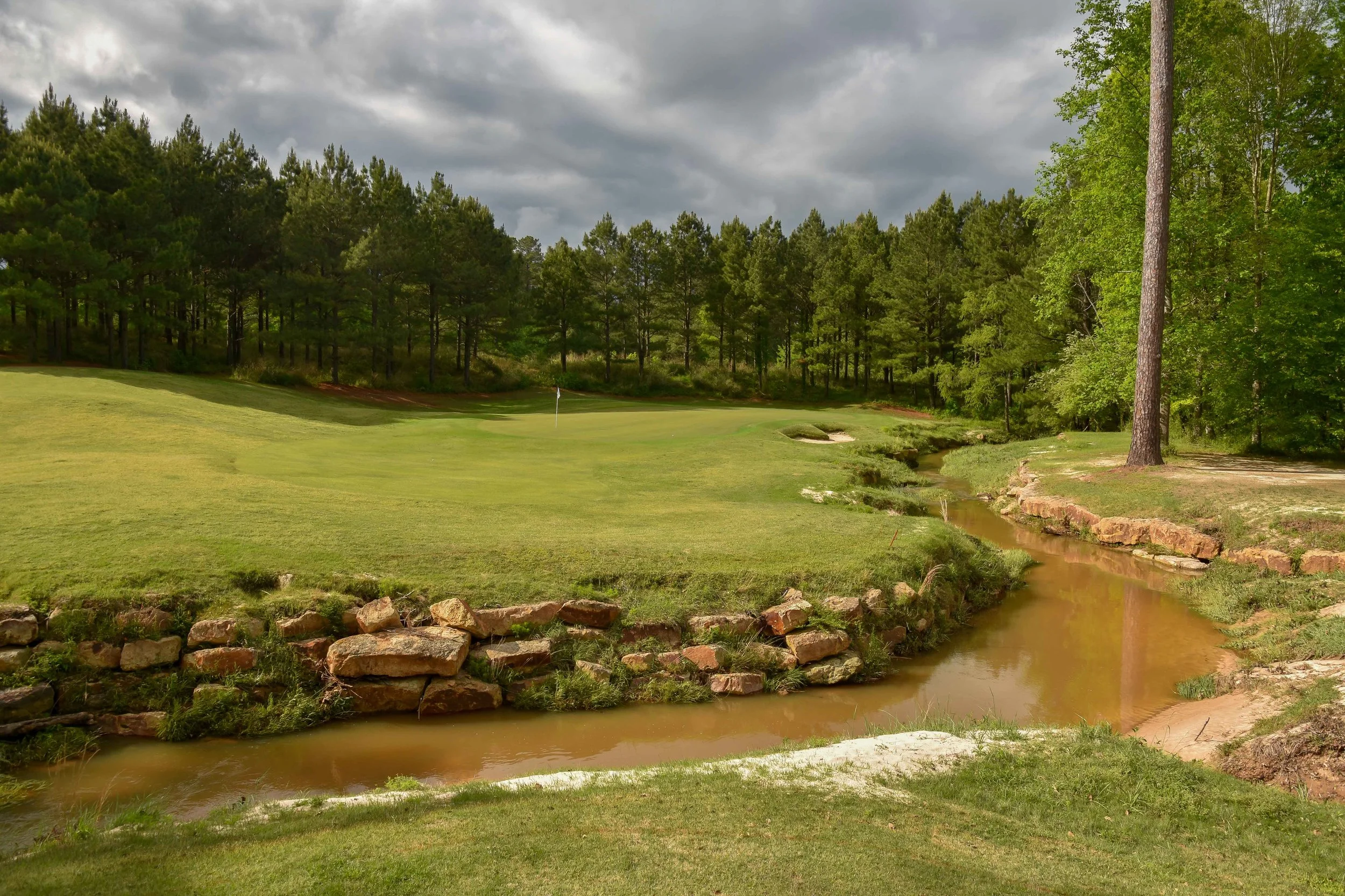Dancing Rabbit - Oaks1-63.jpg