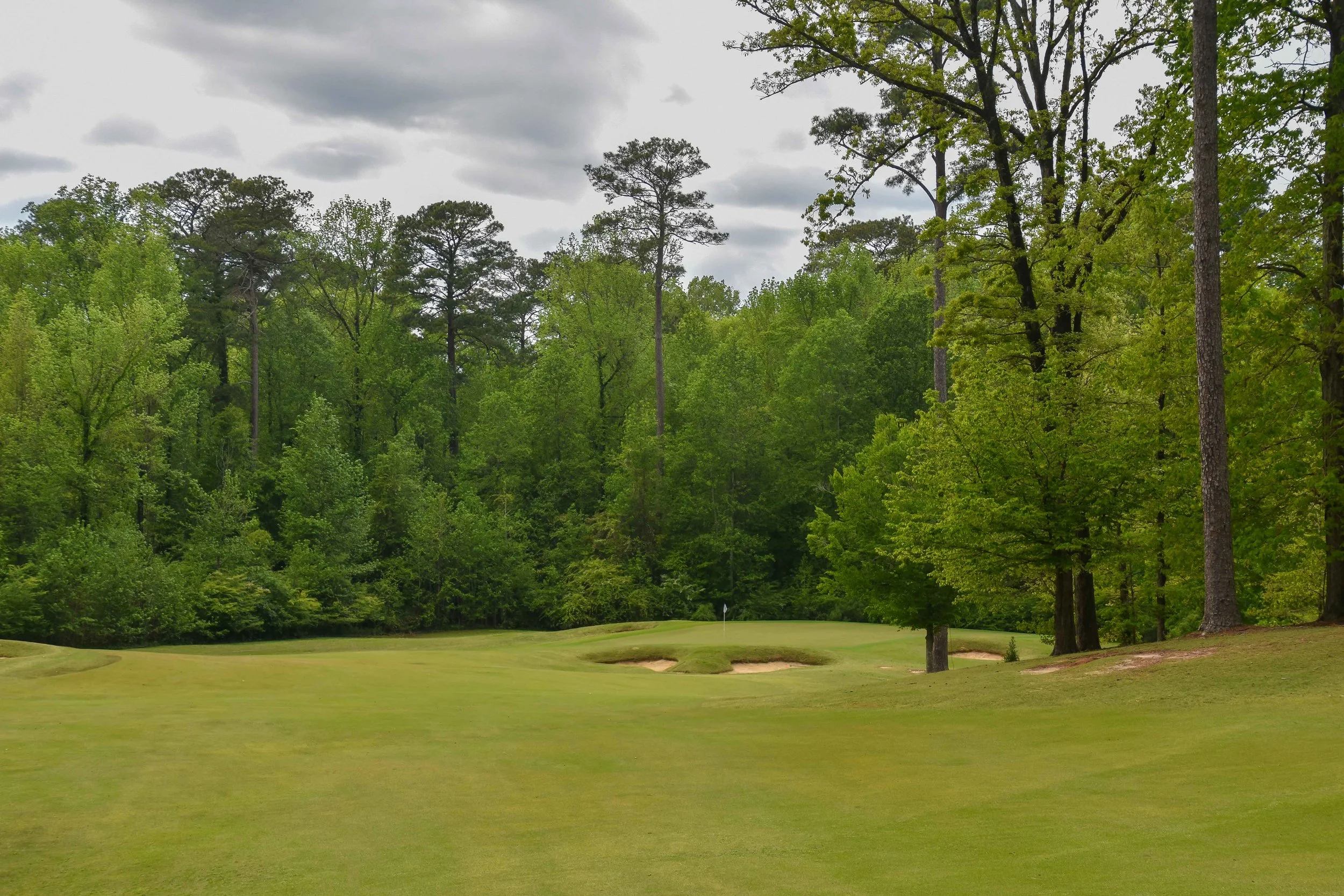 Dancing Rabbit - Oaks1-61.jpg