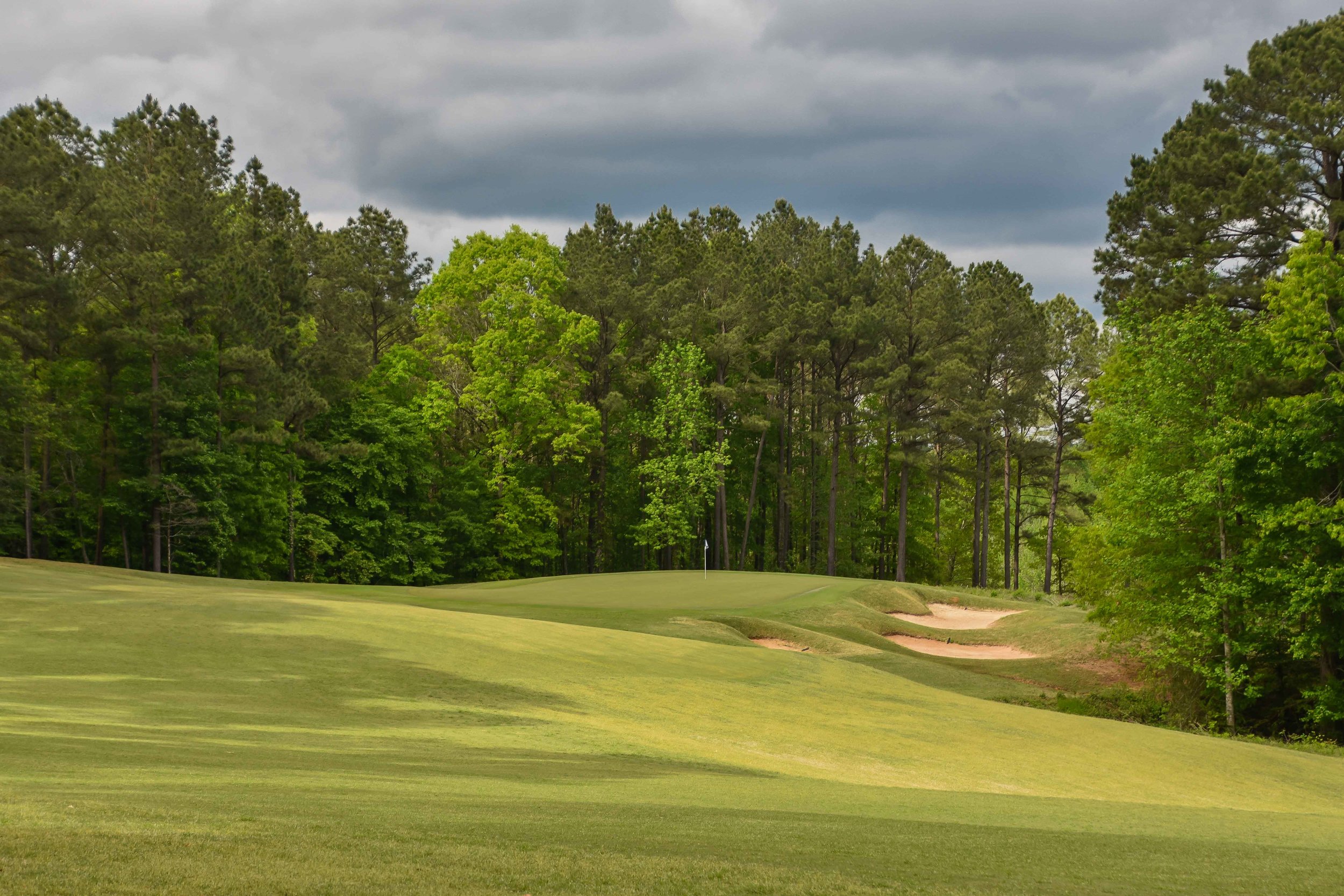 Dancing Rabbit - Oaks1-58.jpg