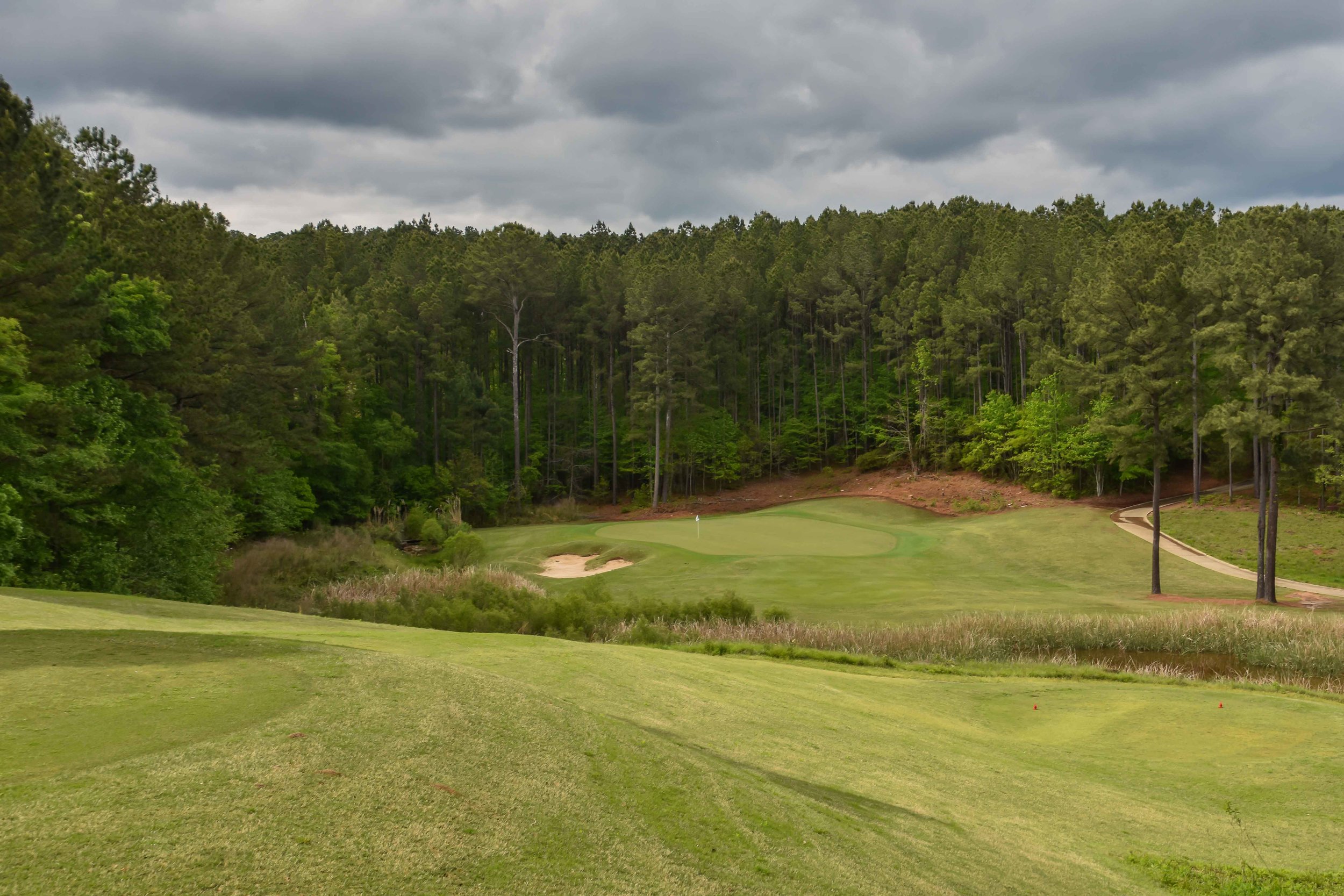 Dancing Rabbit - Oaks1-57.jpg