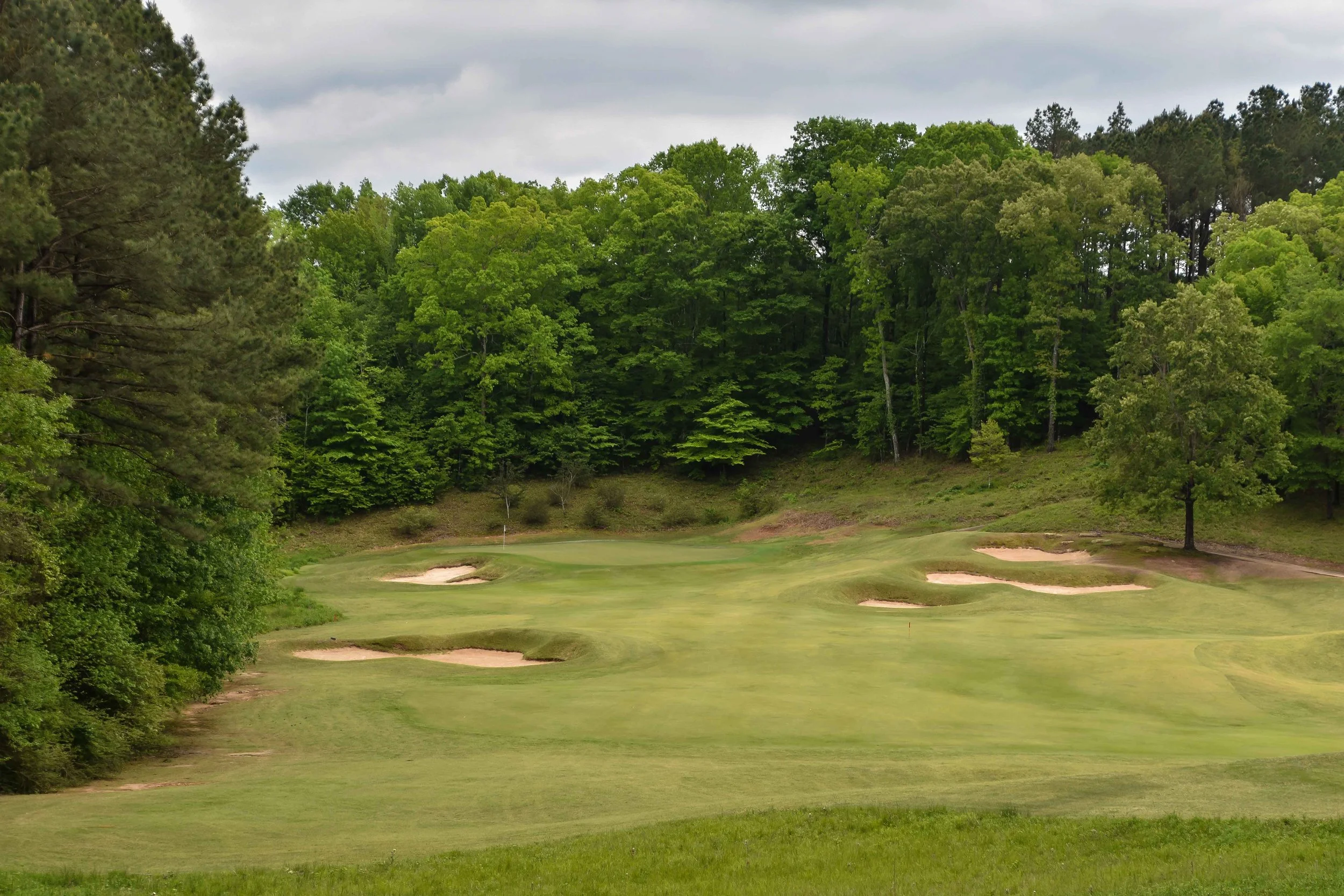 Dancing Rabbit - Oaks1-56.jpg